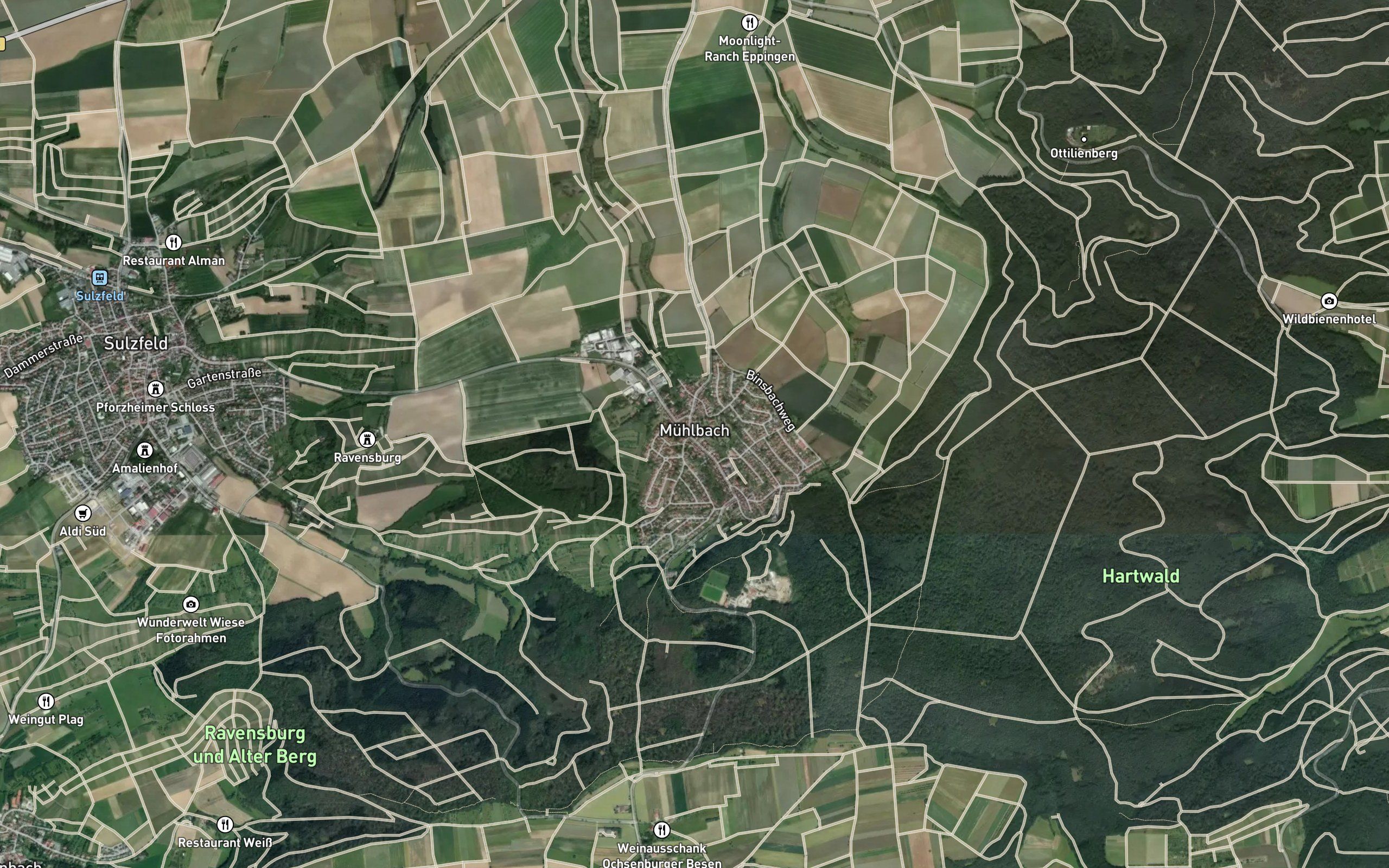 Taubensemd