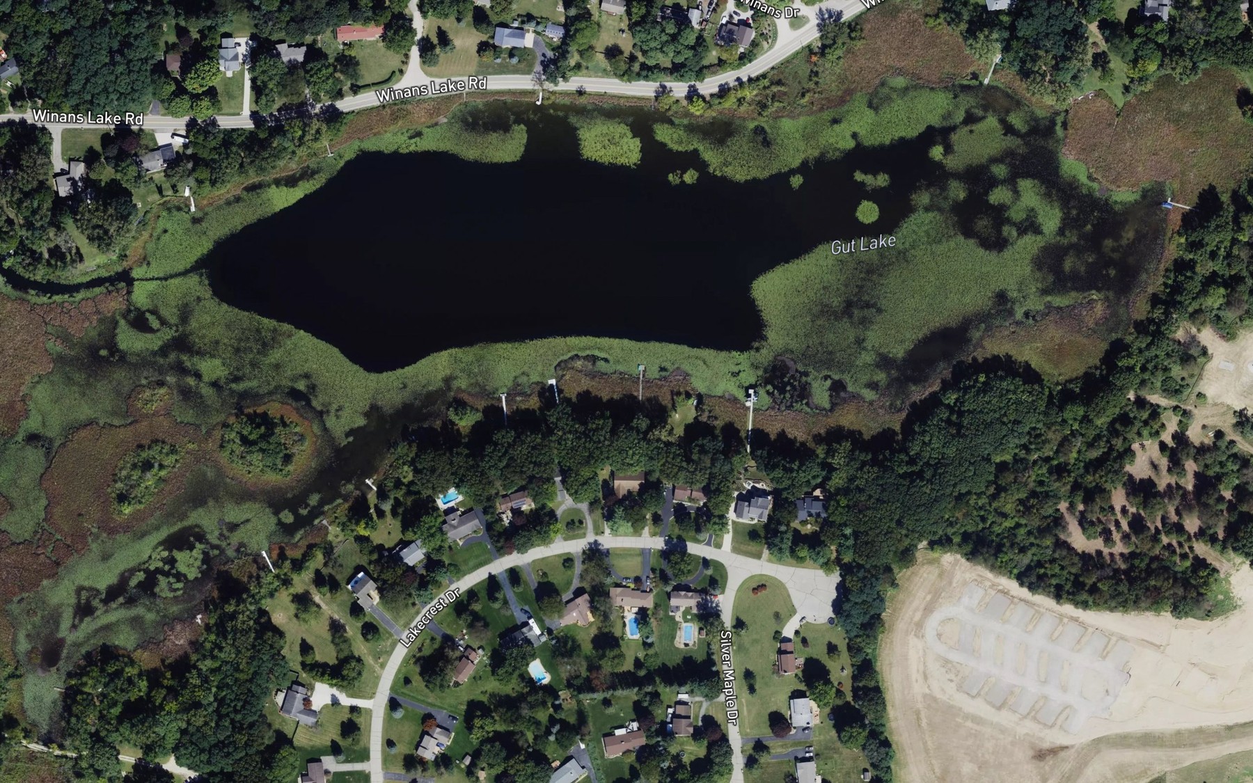 Satellite map of the Gut Lake