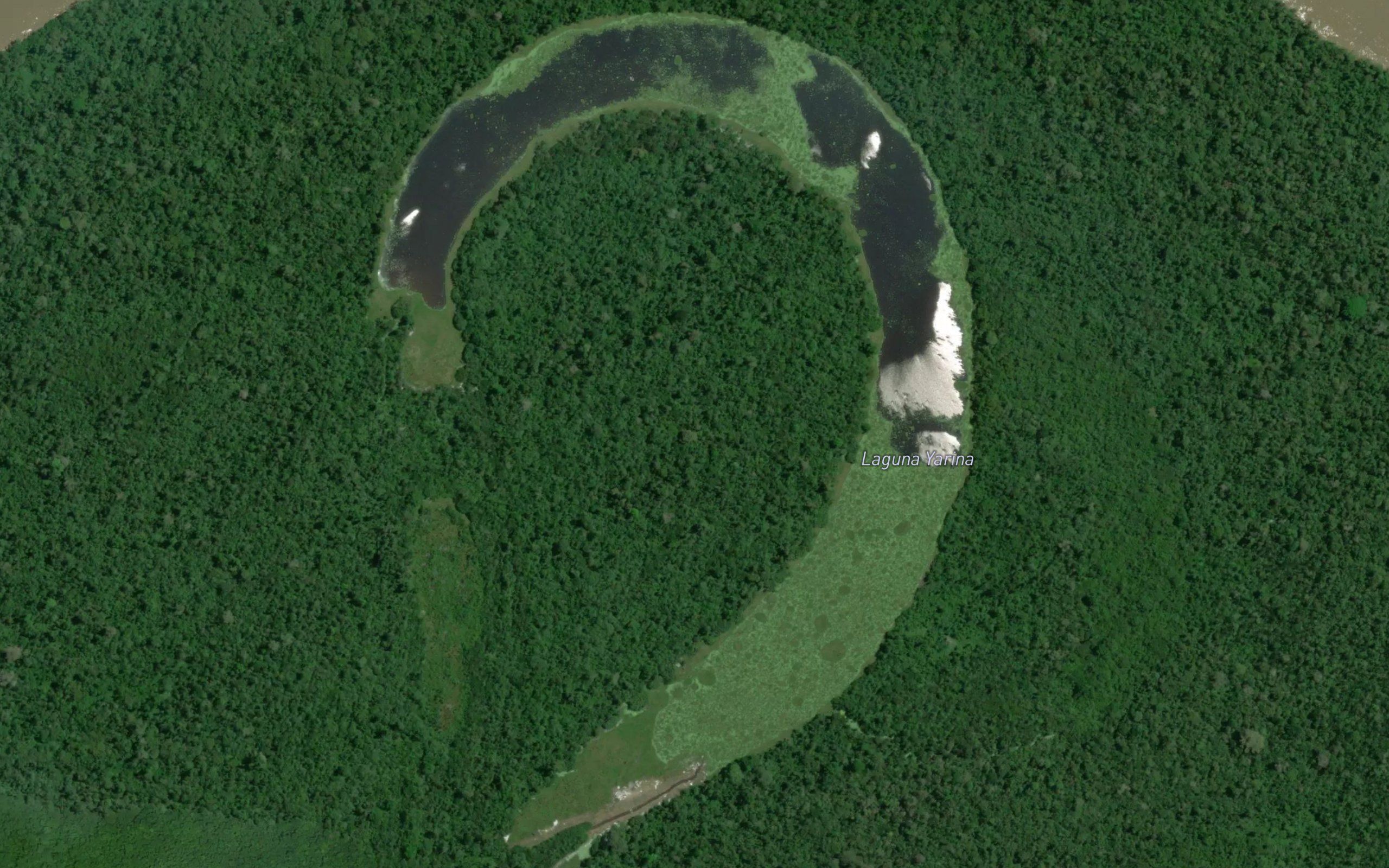 Laguna Yarina