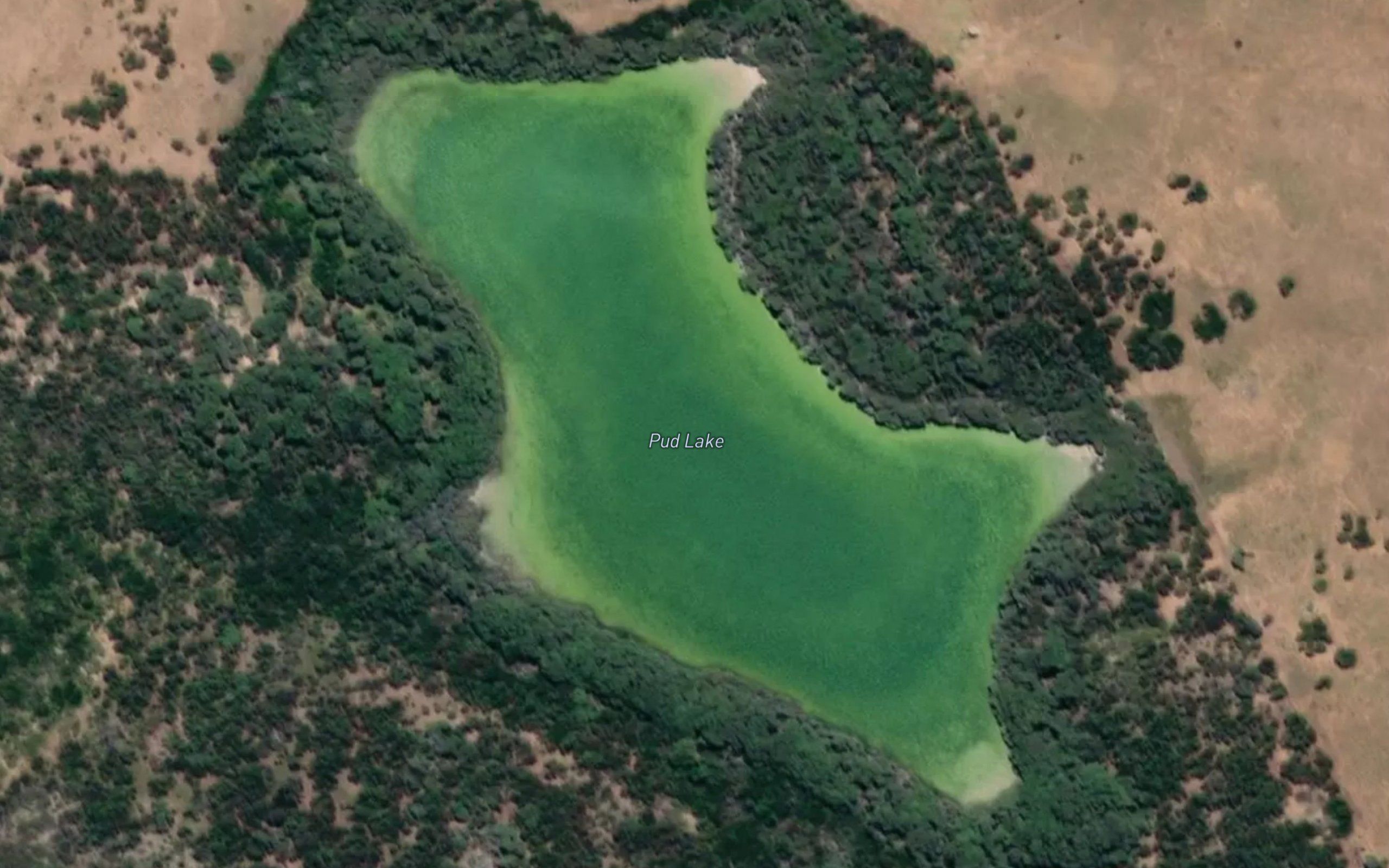 Pud Lake