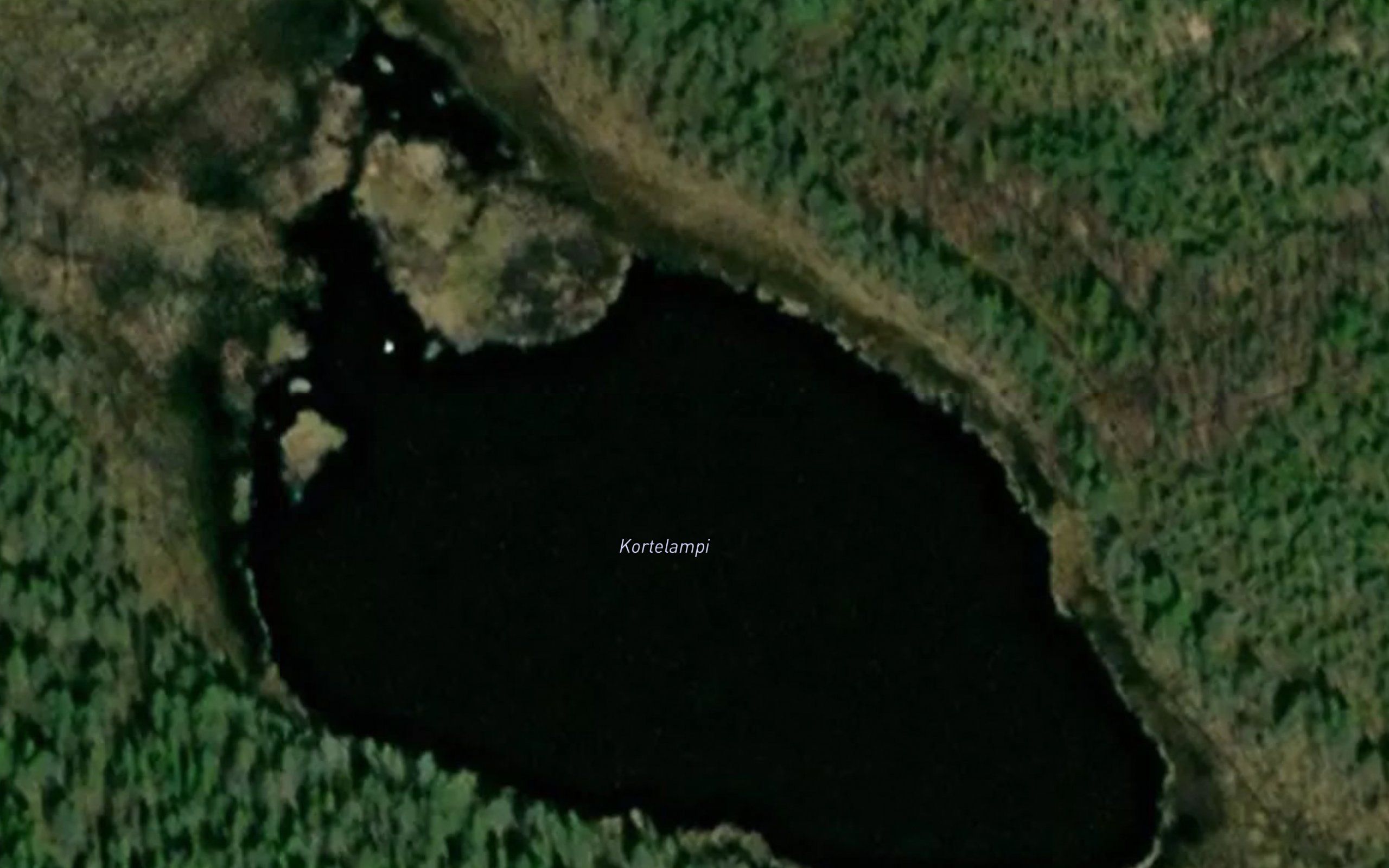 Kortelampi