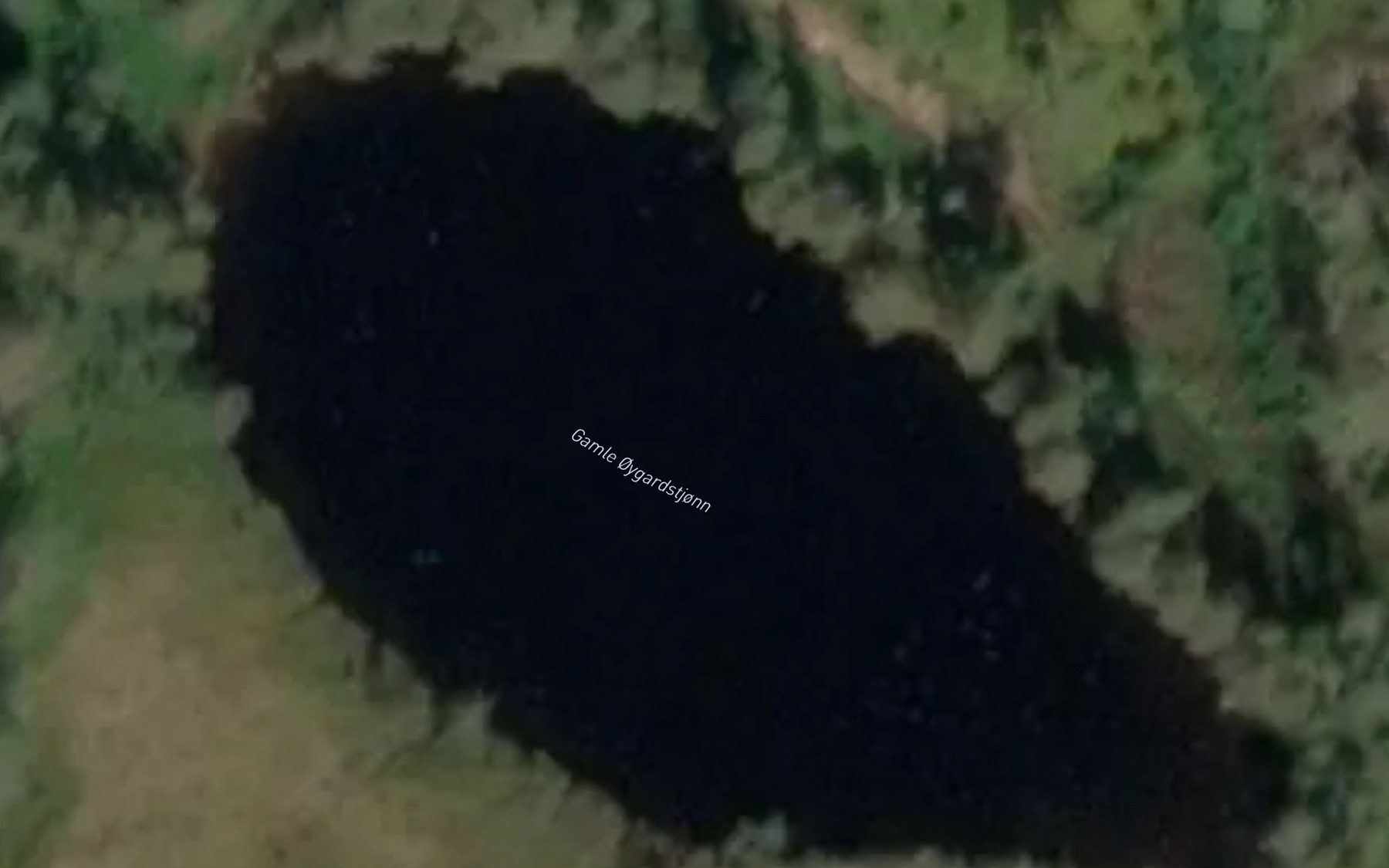 Satellite map of the Gamle Oygardstjonn