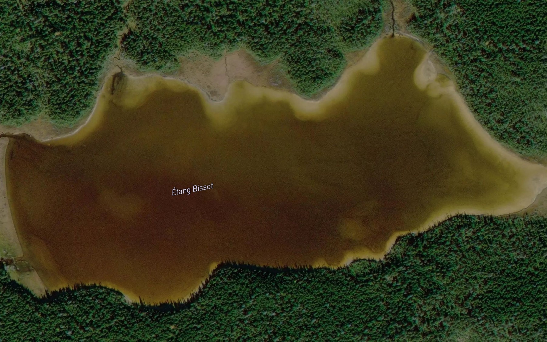 Satellite map of the Etang Bissot