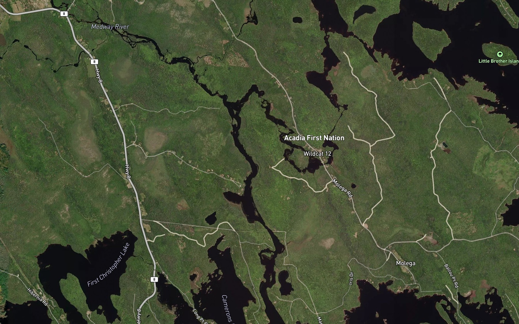 Satellite map of the Wildcat River