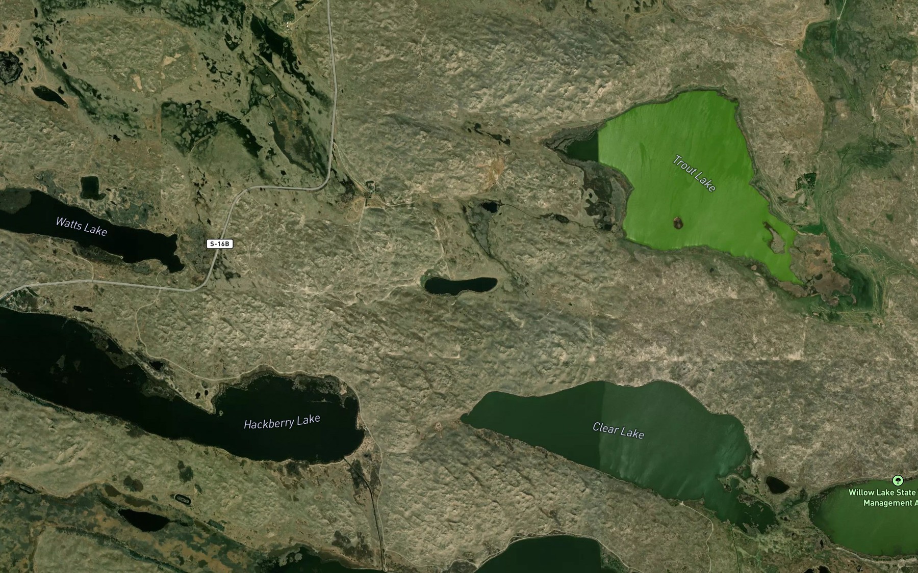 Satellite map of the Cedar Lake