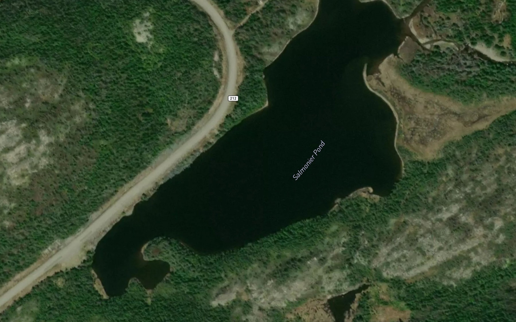 Satellite map of the Salmonier Pond