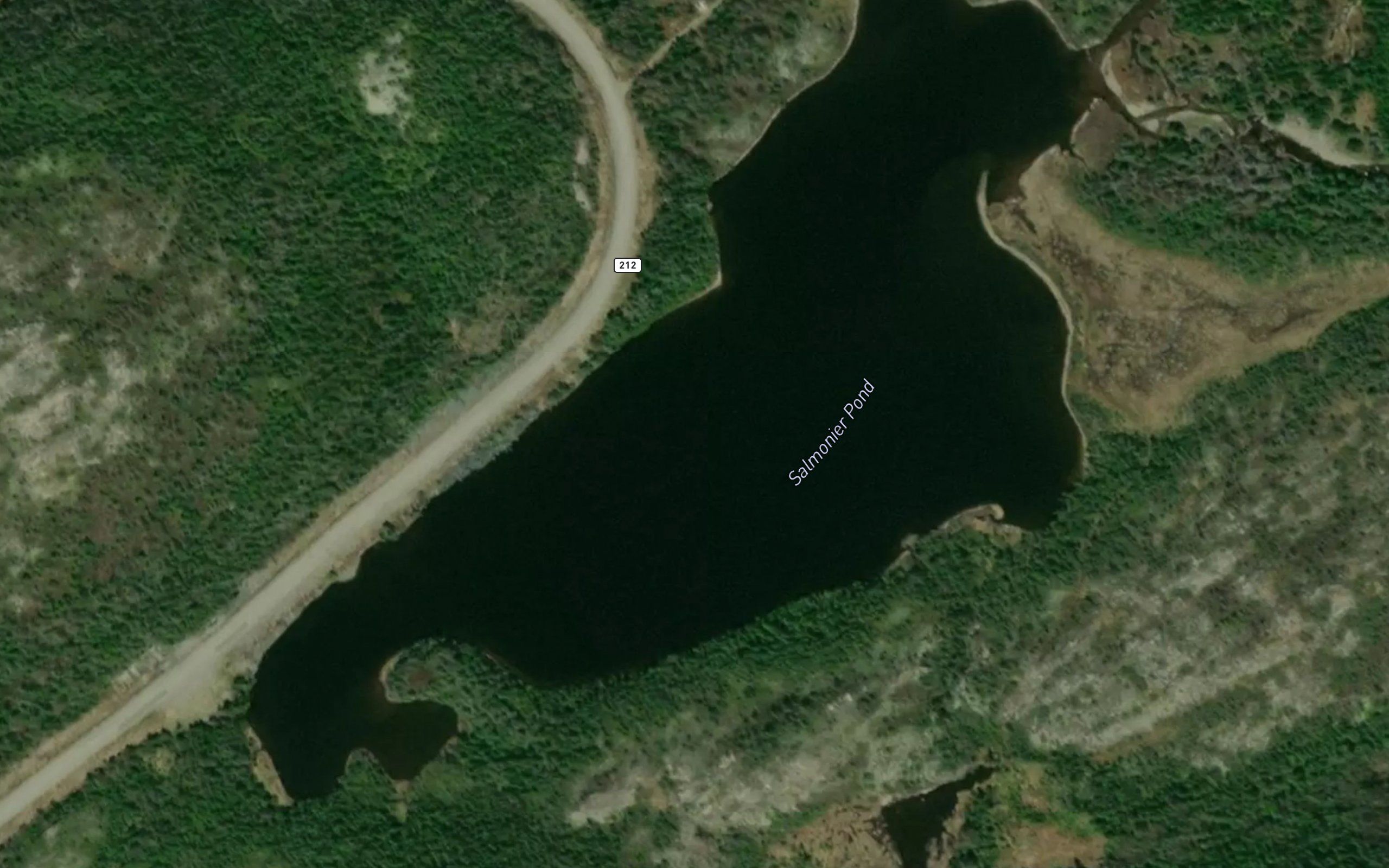 Salmonier Pond