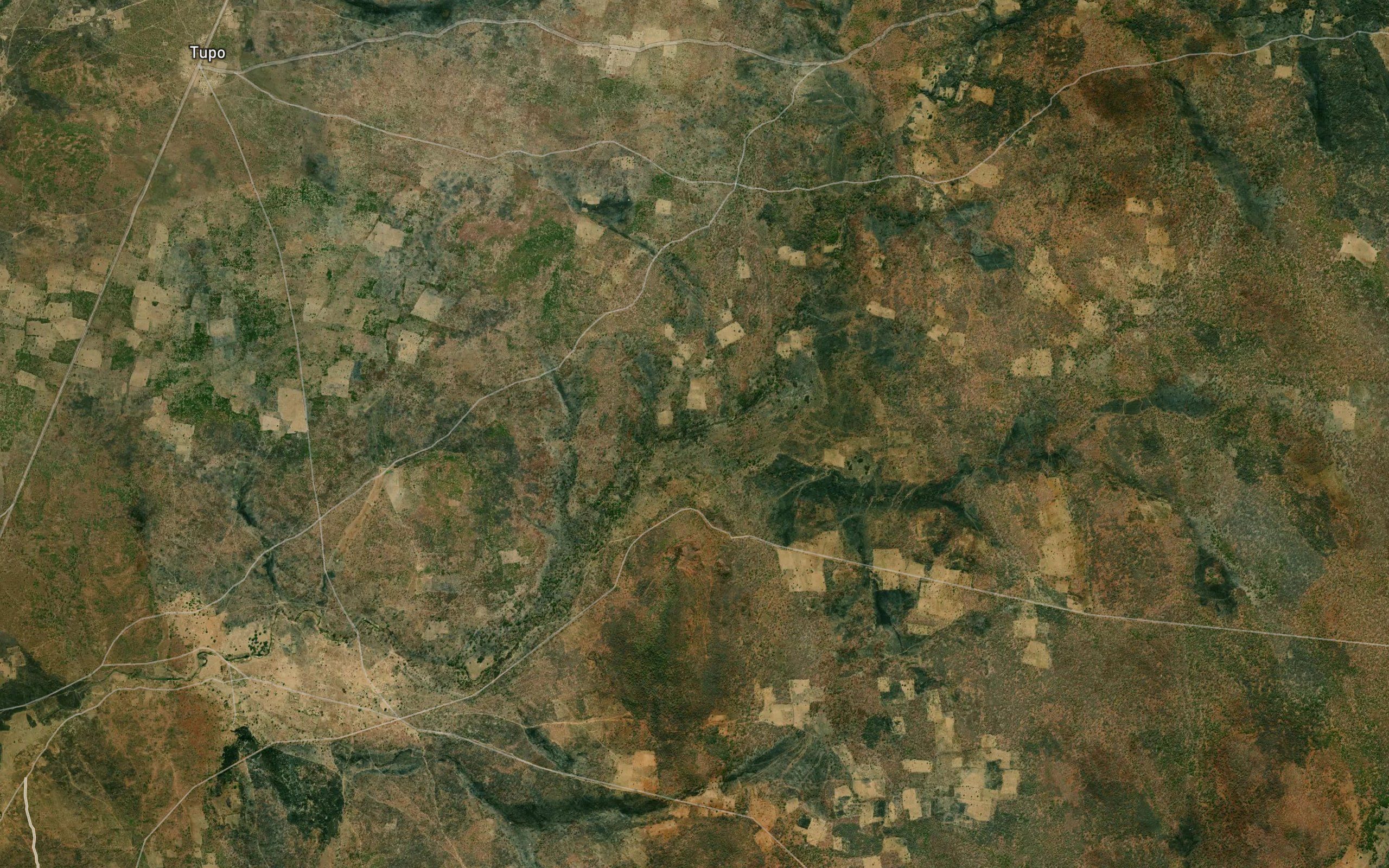 MinguliSegundo