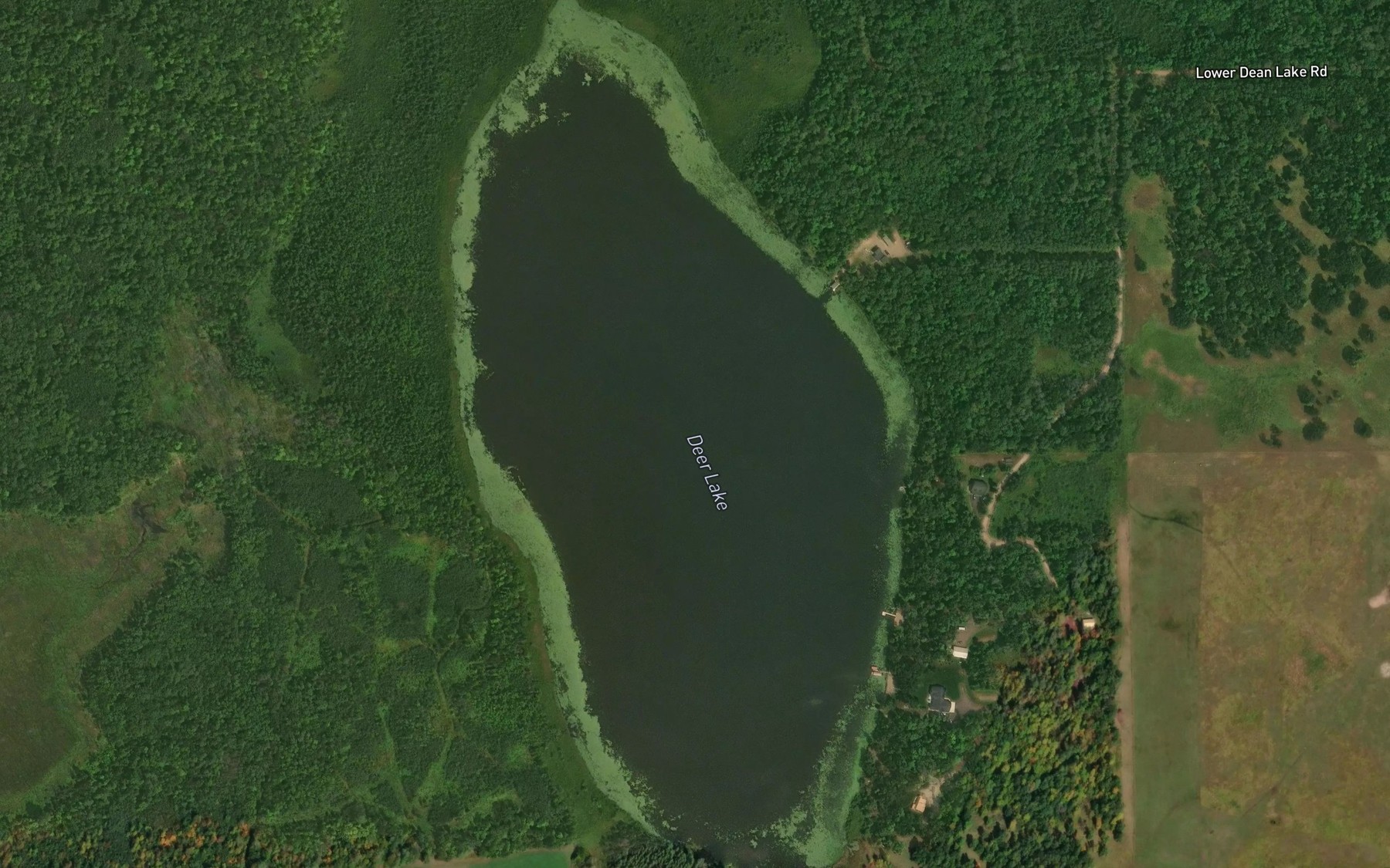Satellite map of the Deer Lake