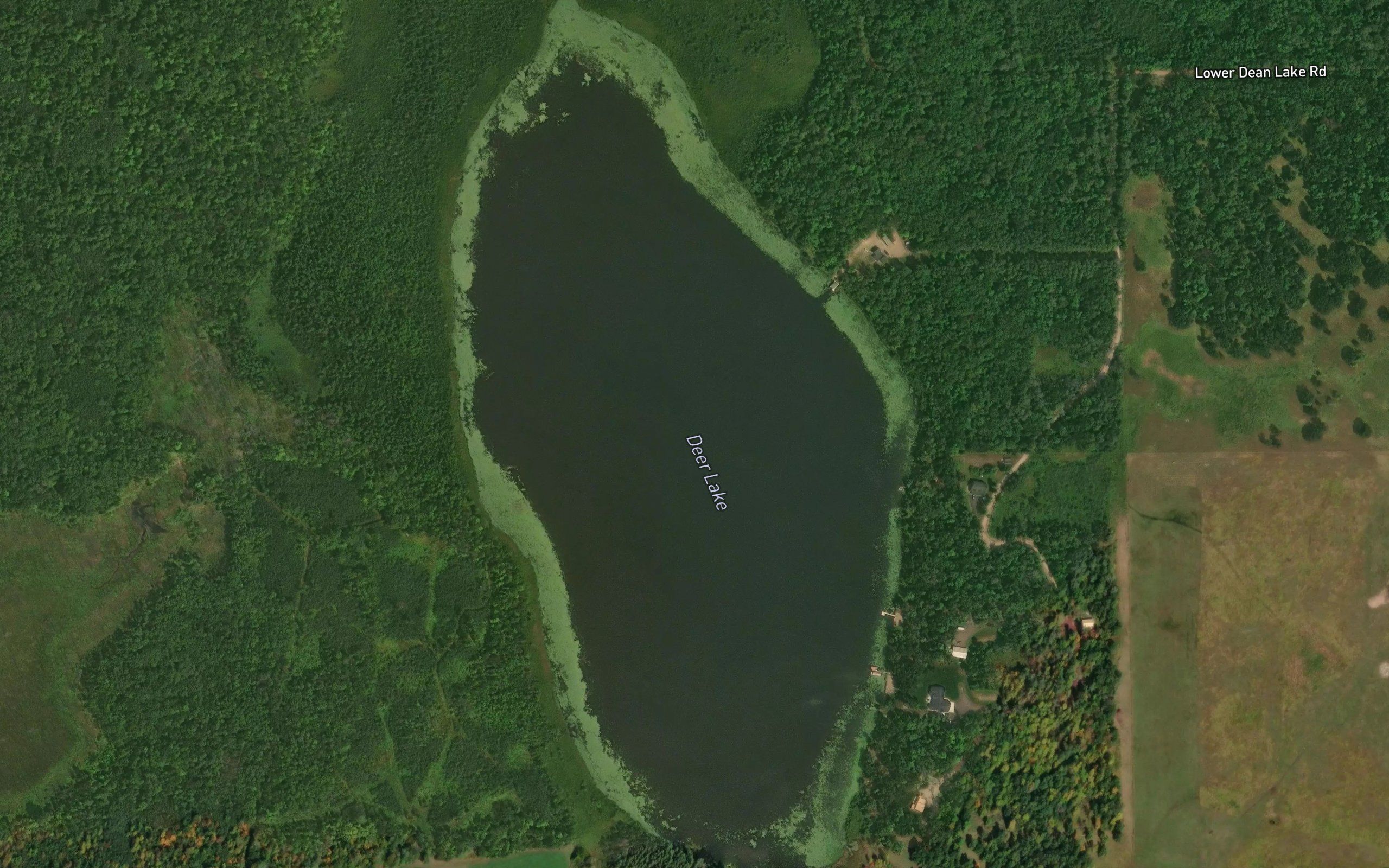 Deer Lake