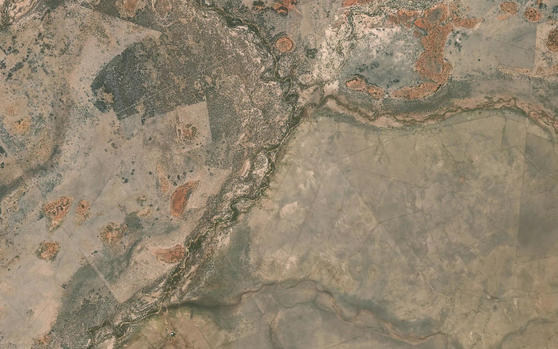 Satellite map of the Reedy Creek