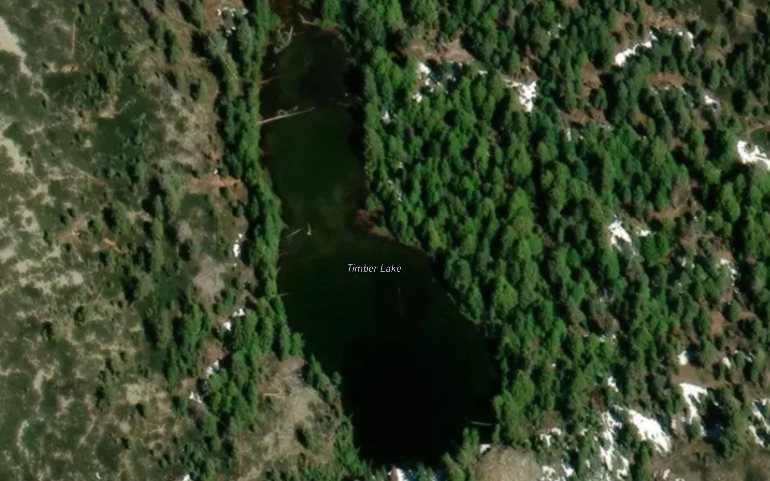 Timber Lake