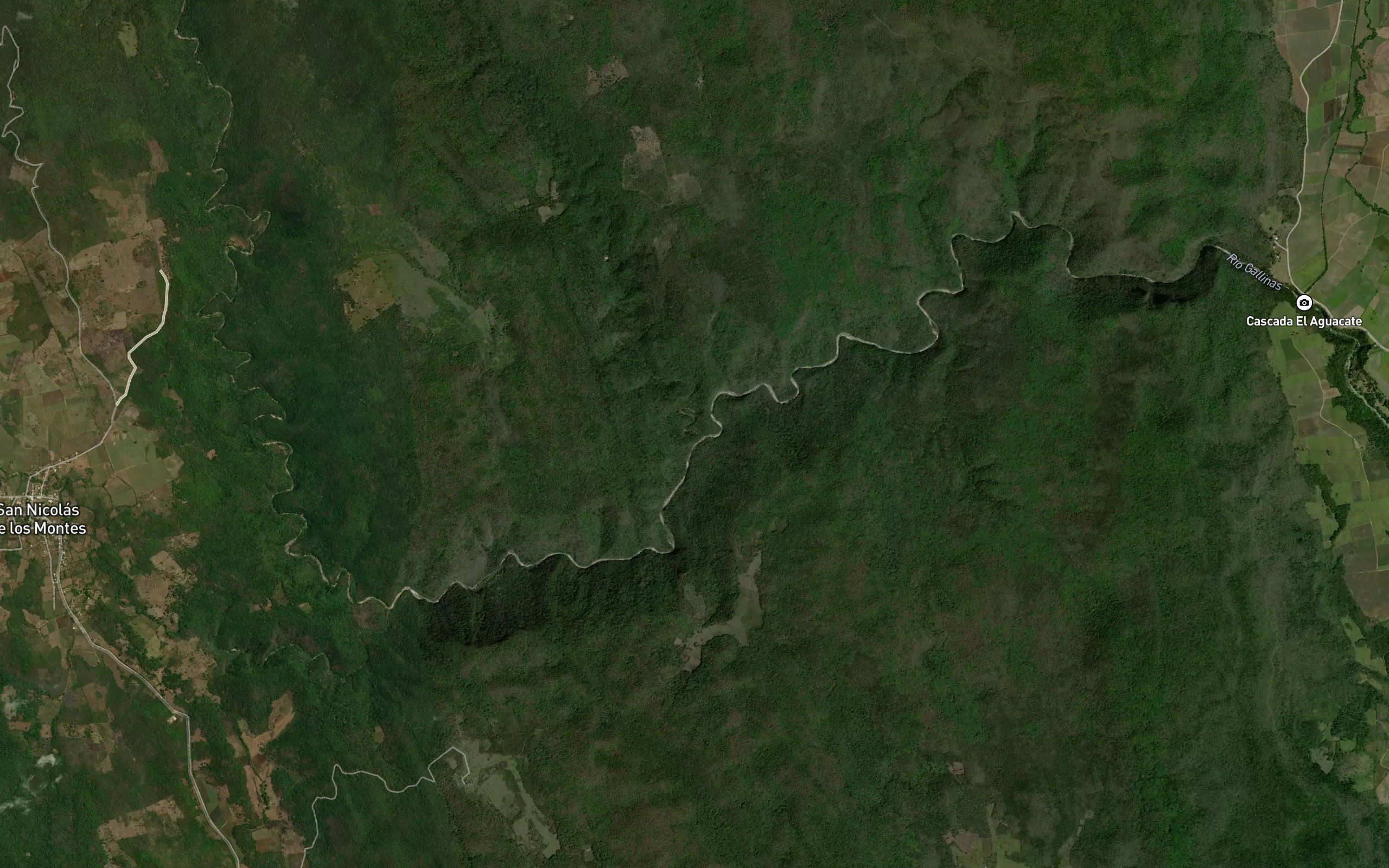 Arroyo Damian