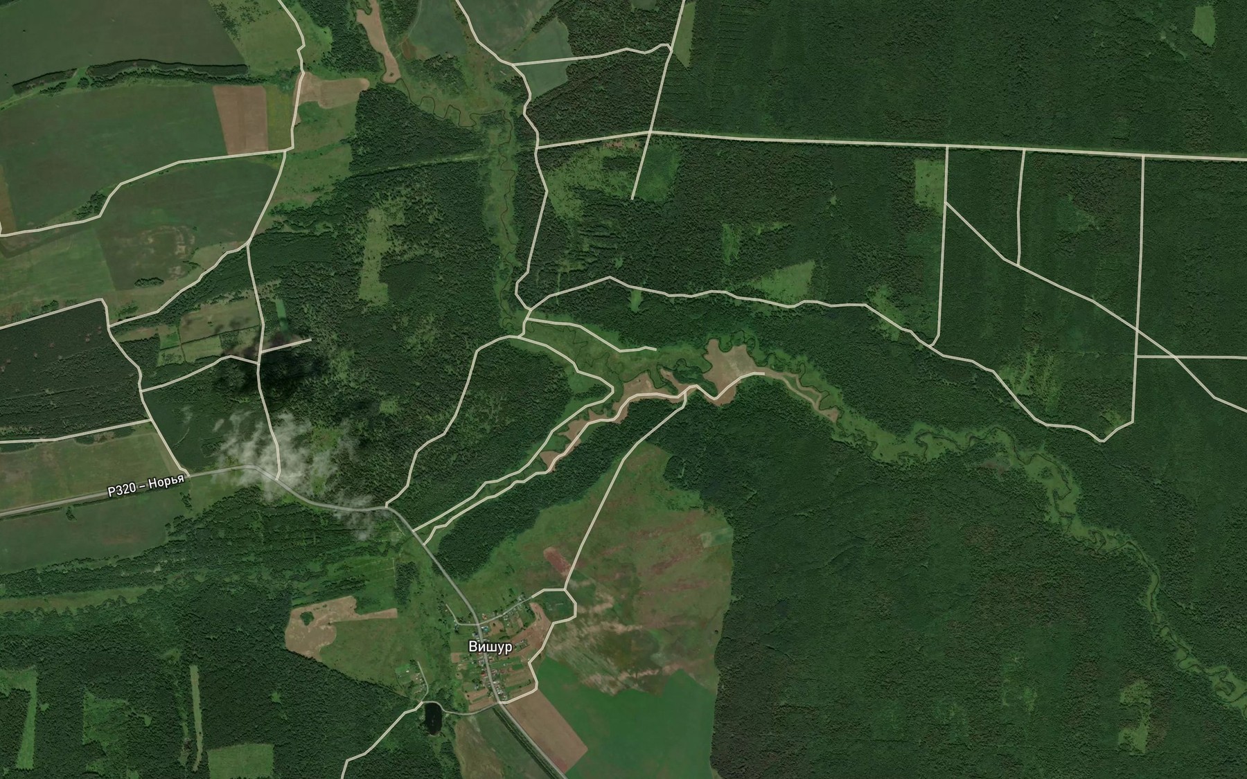 Satellite map of the Syuzyashurka