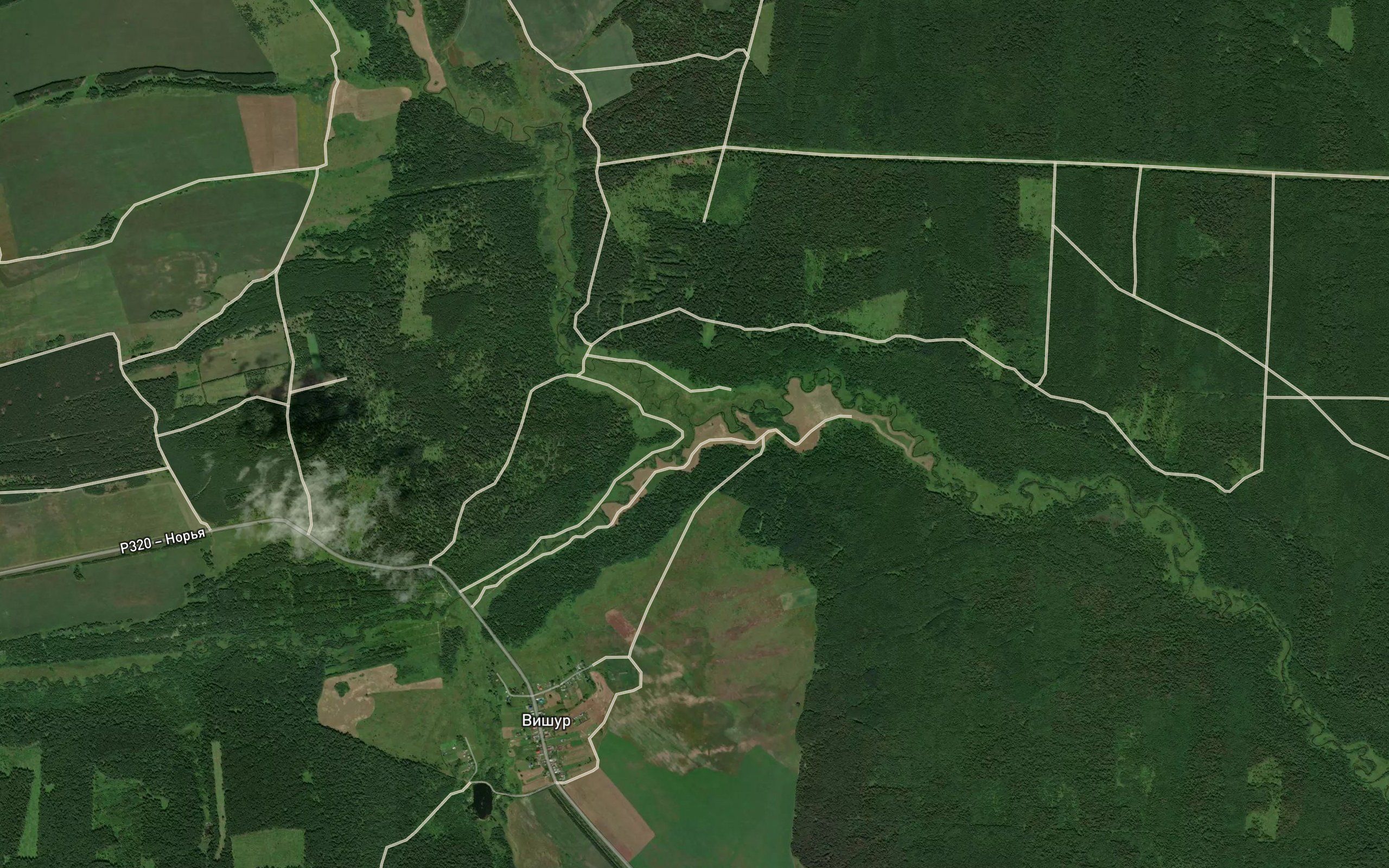 Syuzyashurka