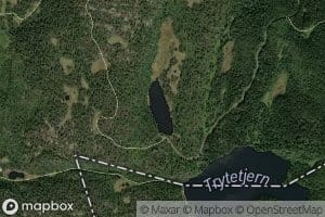 Brornetjern