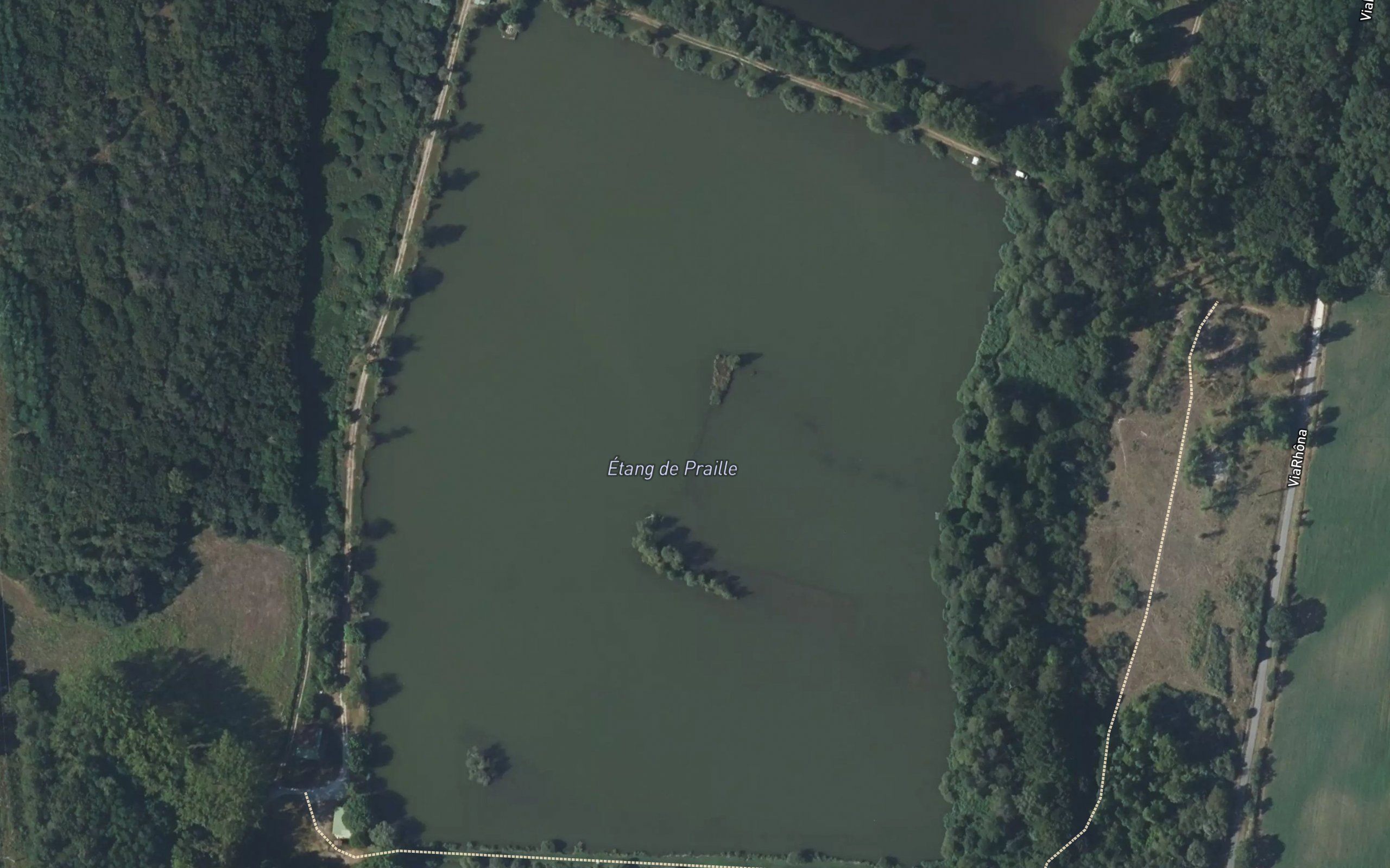 Etang de Praille