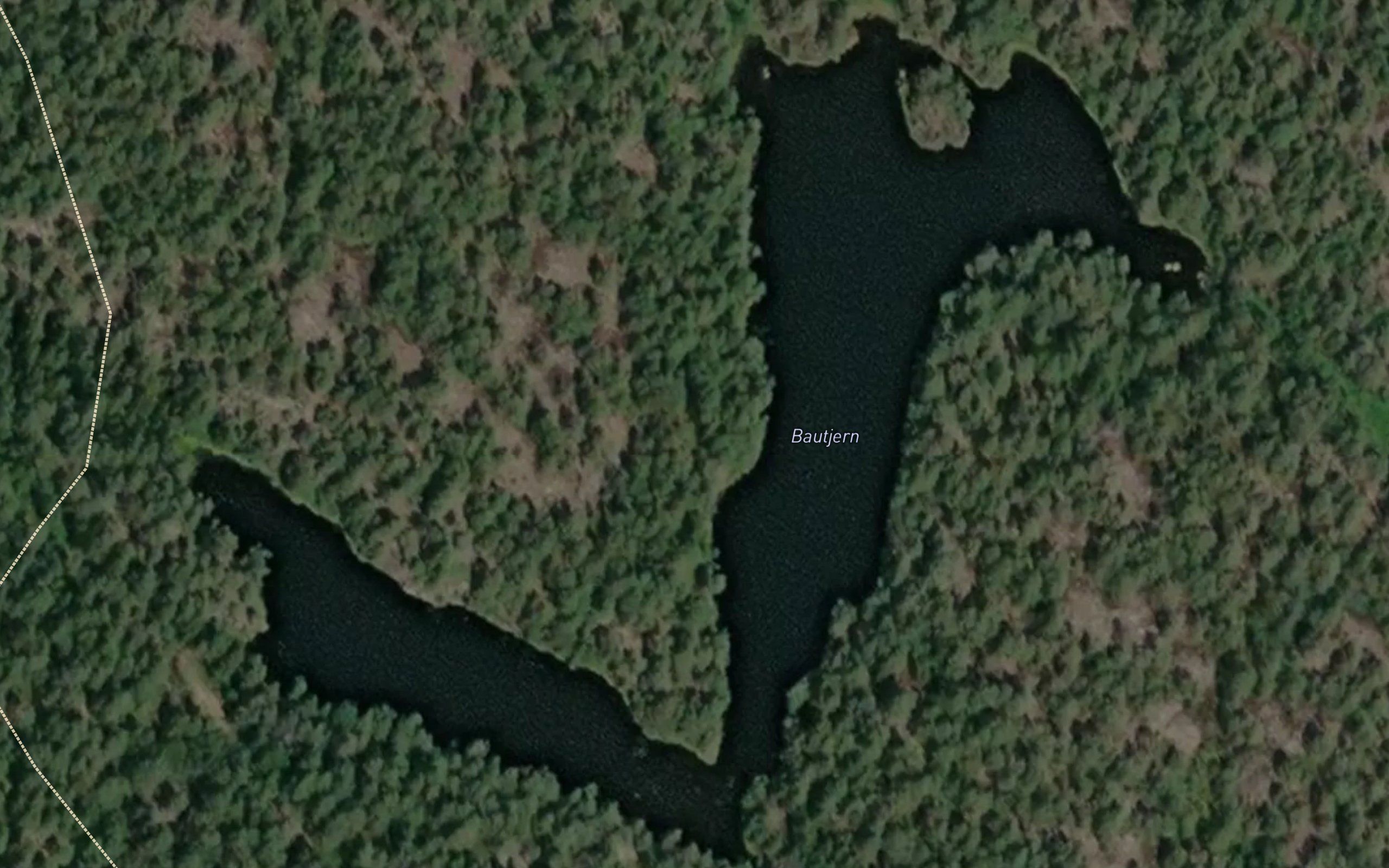 Bautjern