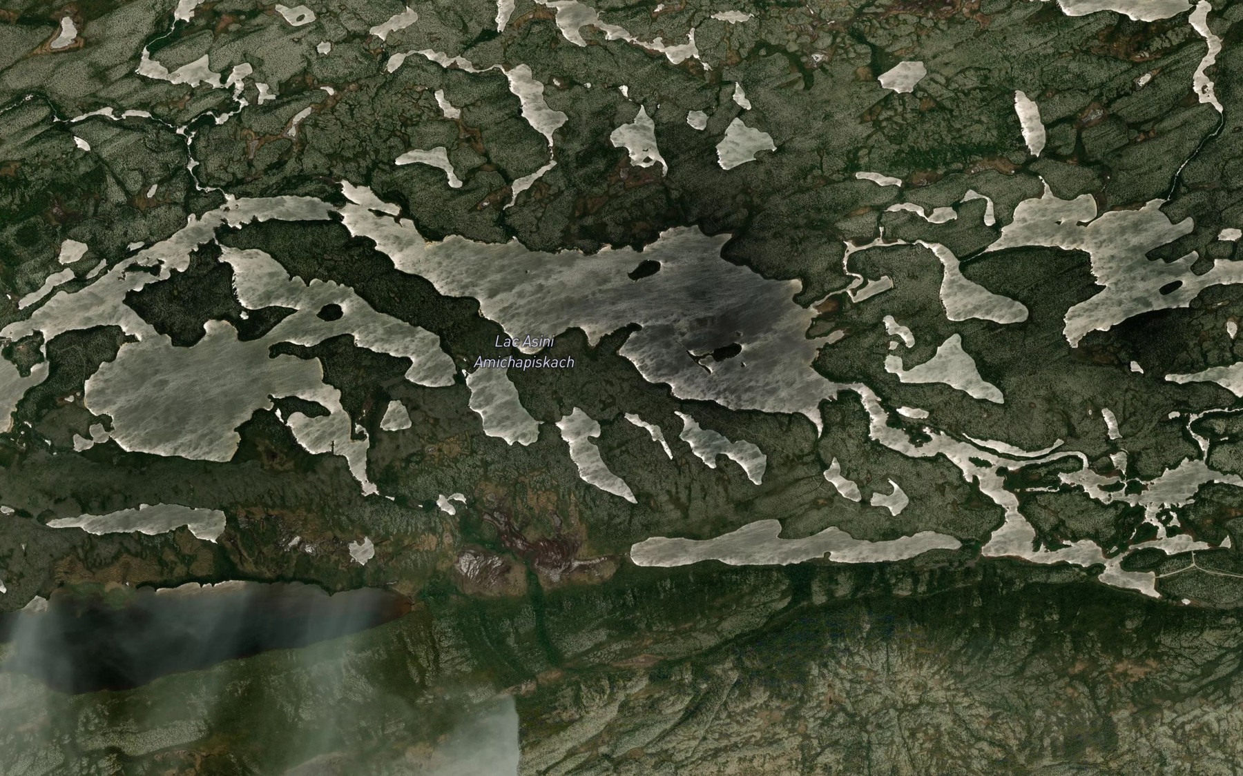 Satellite map of the Lac Asini Amichapiskach
