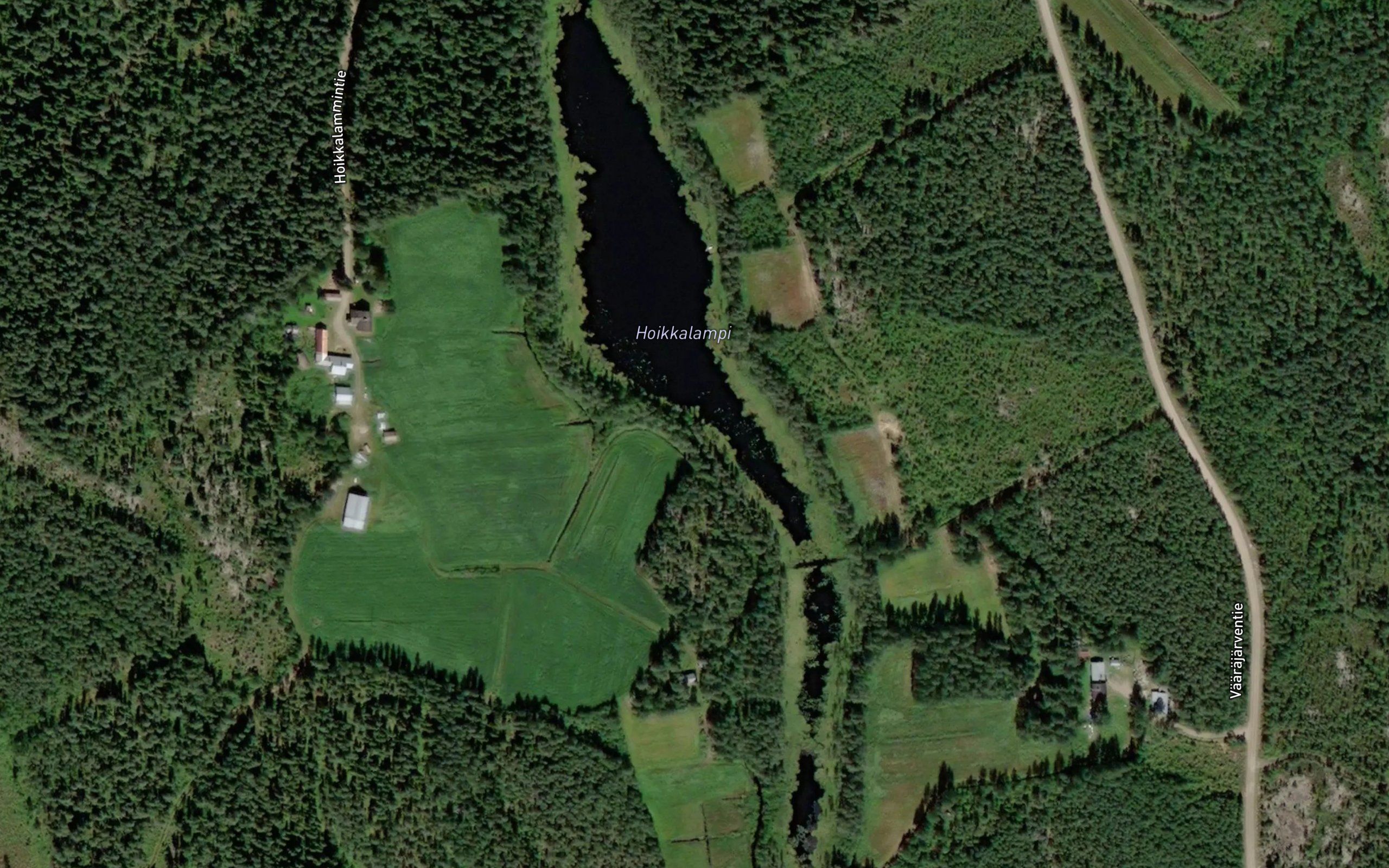 Hoikkalampi