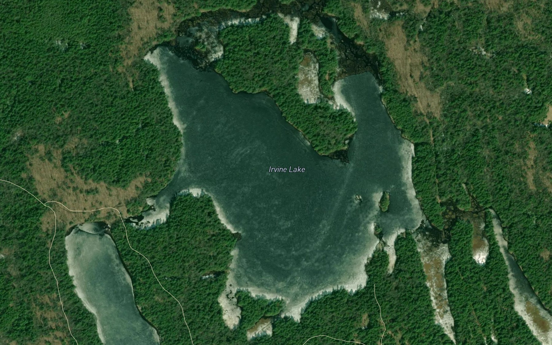 Satellite map of the Irvine Lake