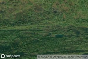 Reingardsbekken