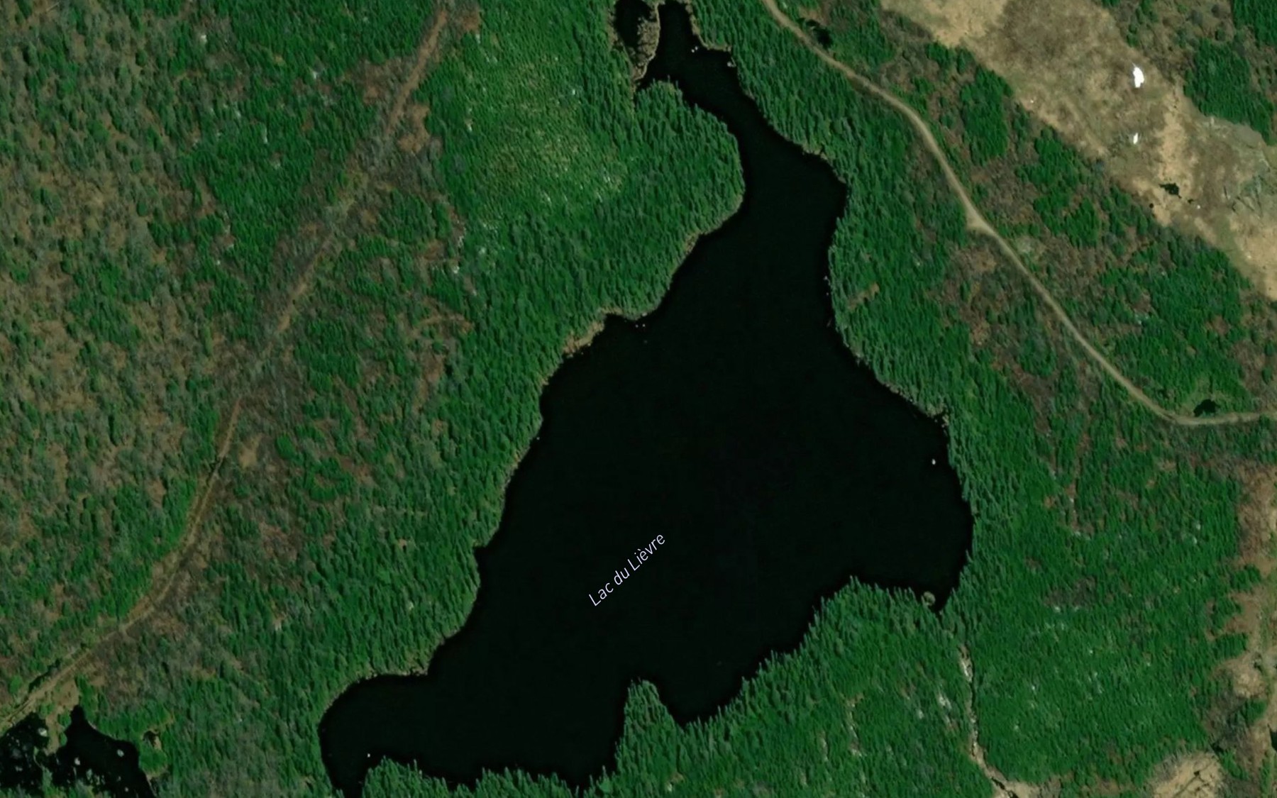 Satellite map of the Lac du Lievre