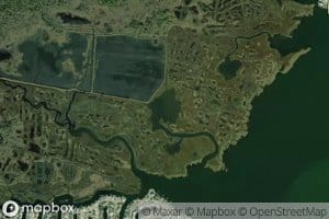Wire Pond