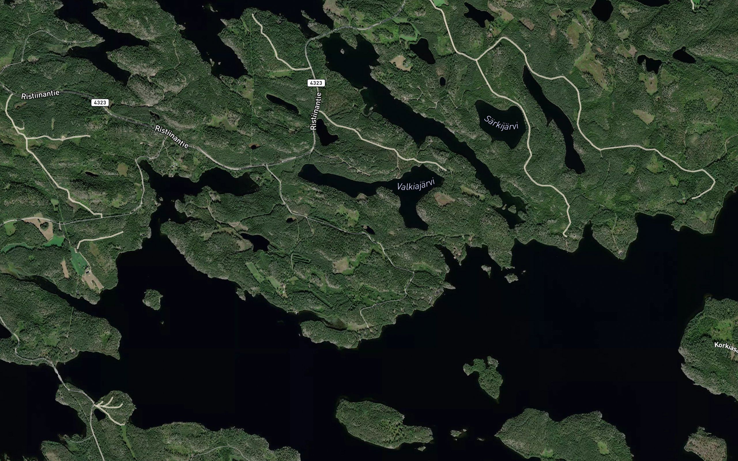 Suursuonlampi