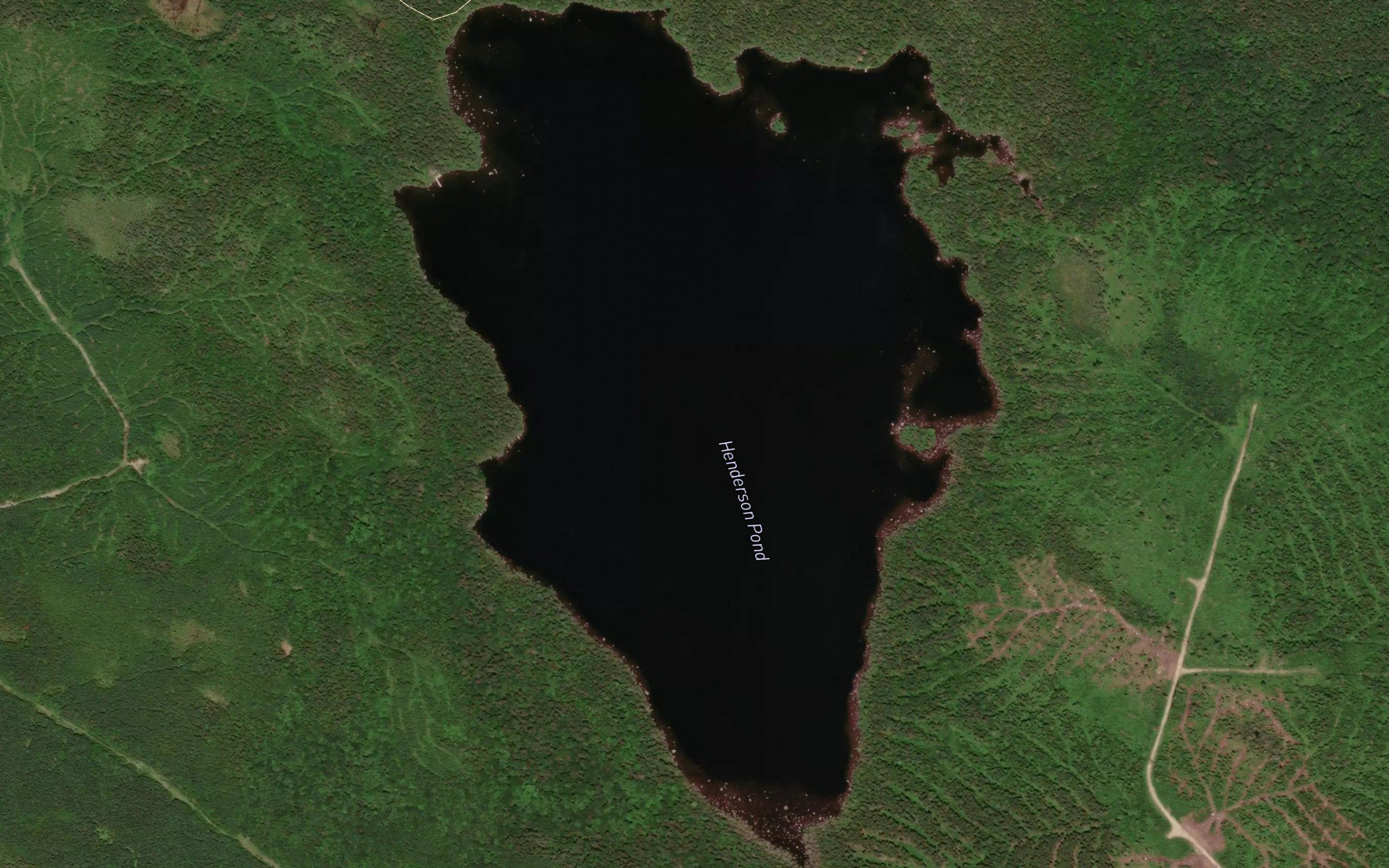 Henderson Pond