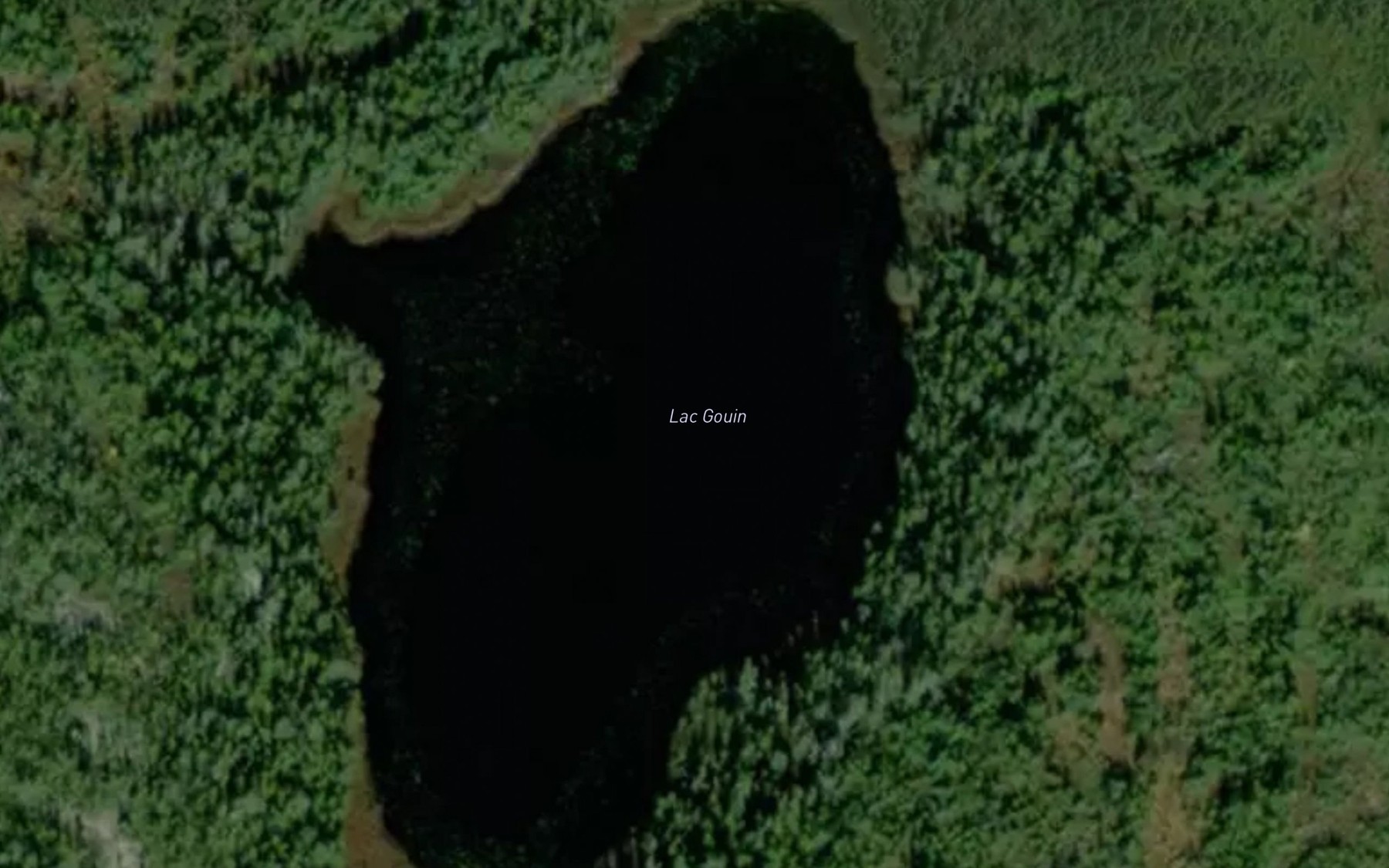 Satellite map of the Lac Gouin
