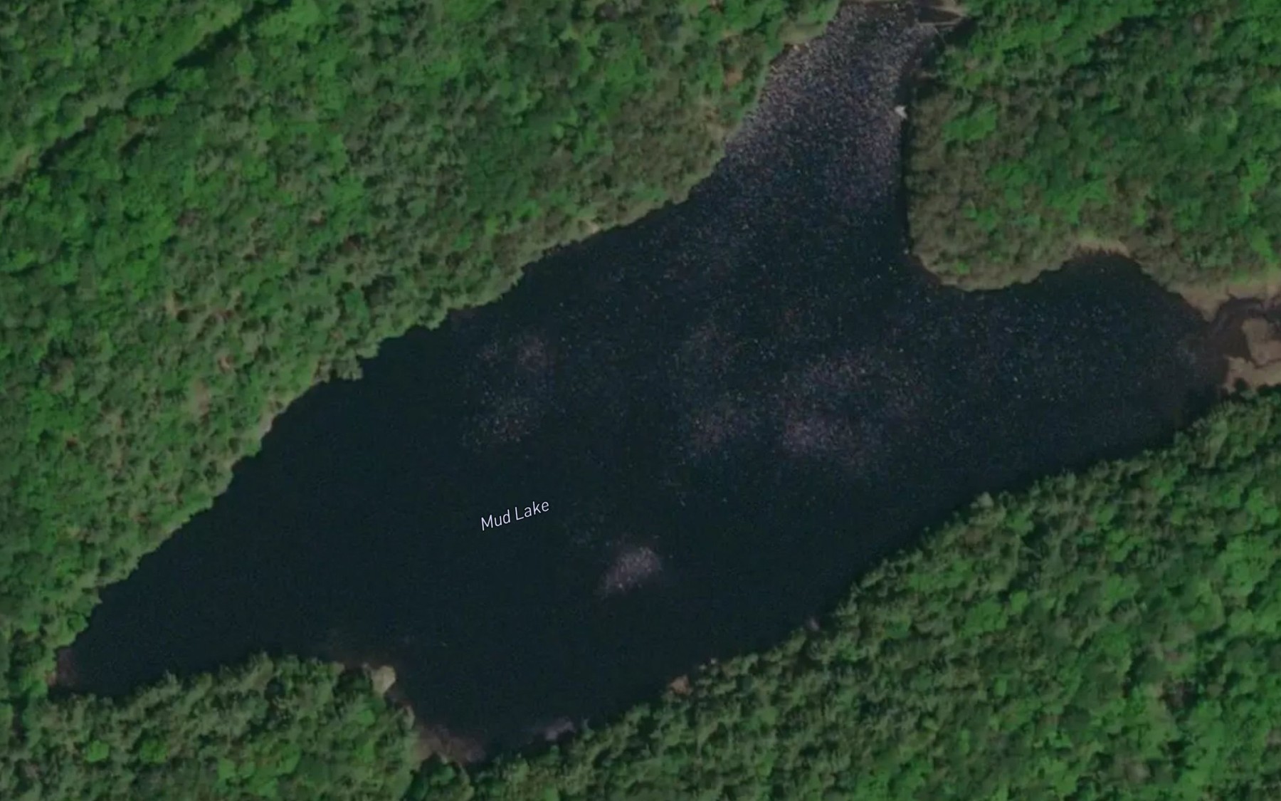 Satellite map of the Mud Lake