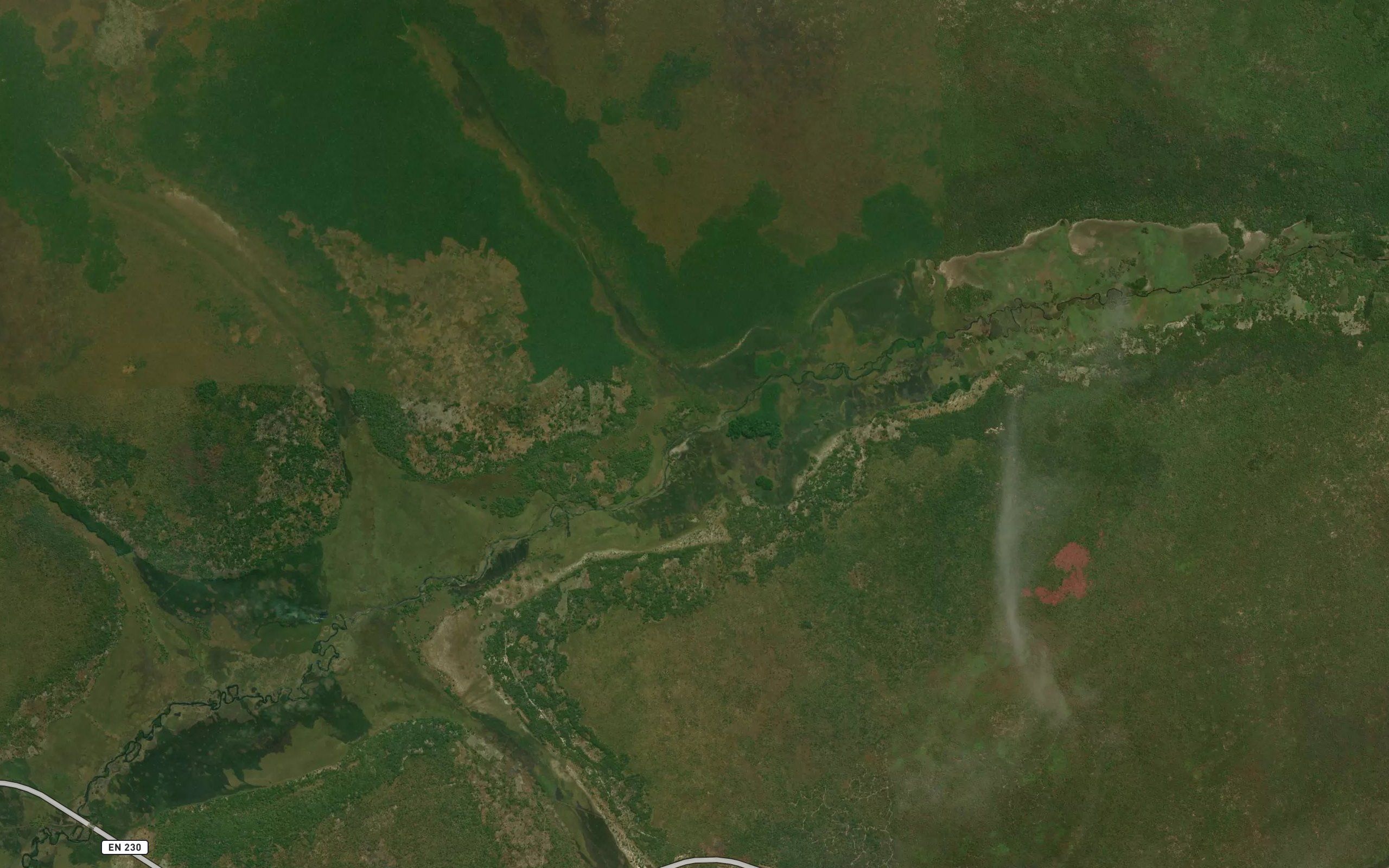 Luanga