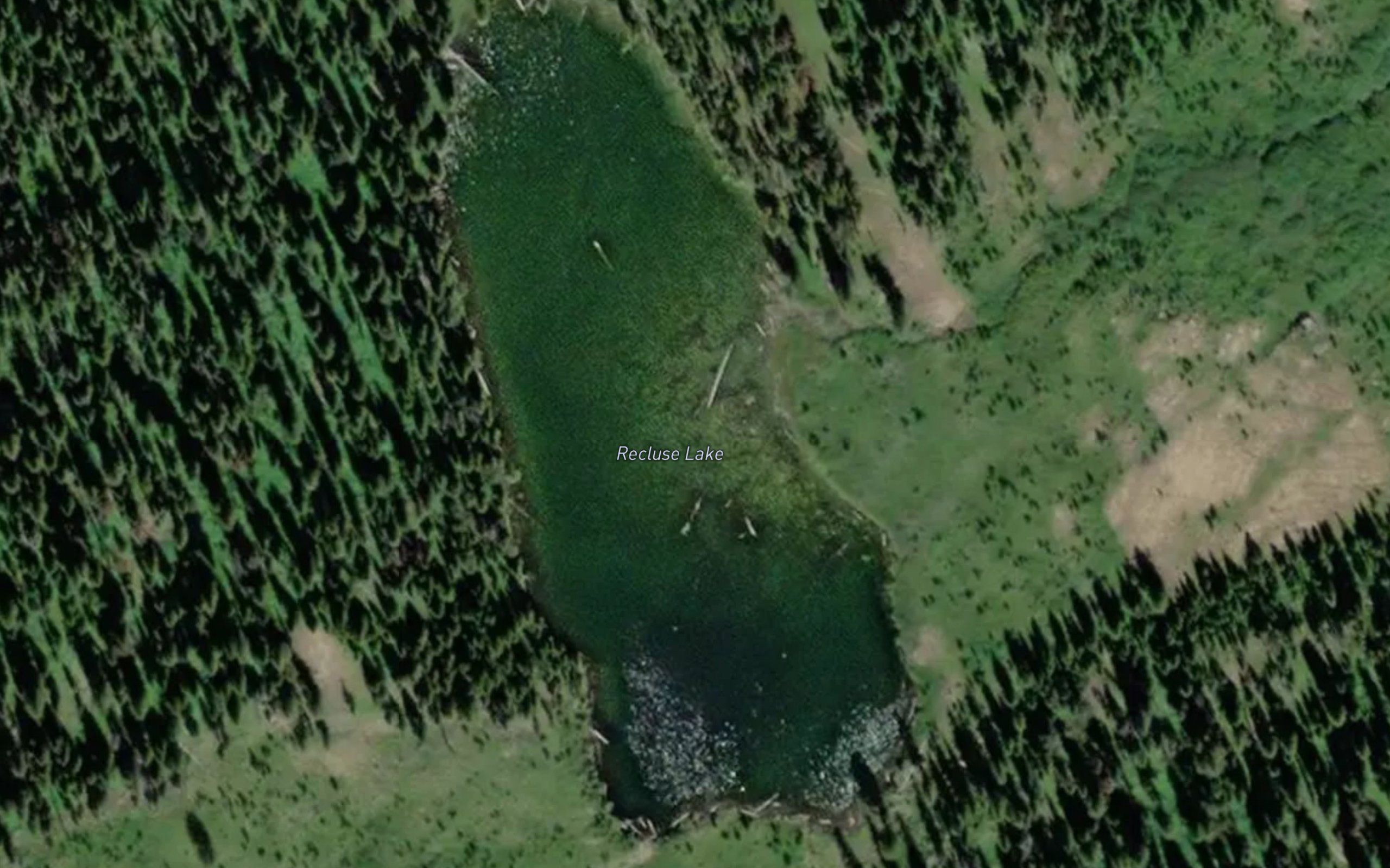 Recluse Lake