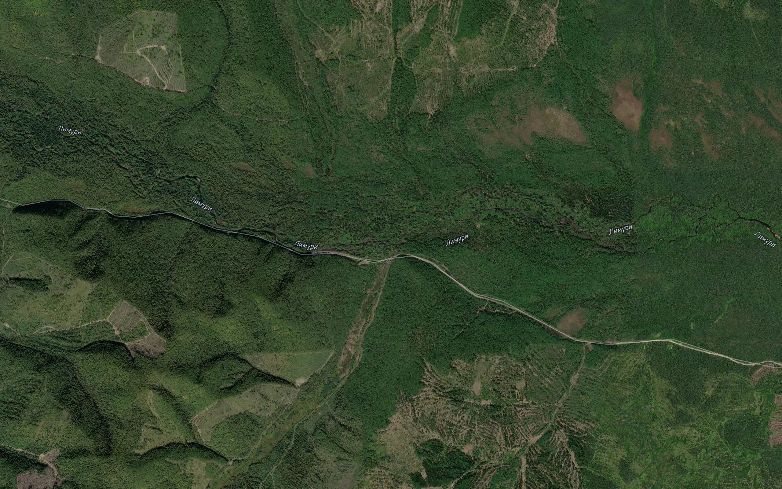 Kolkiy