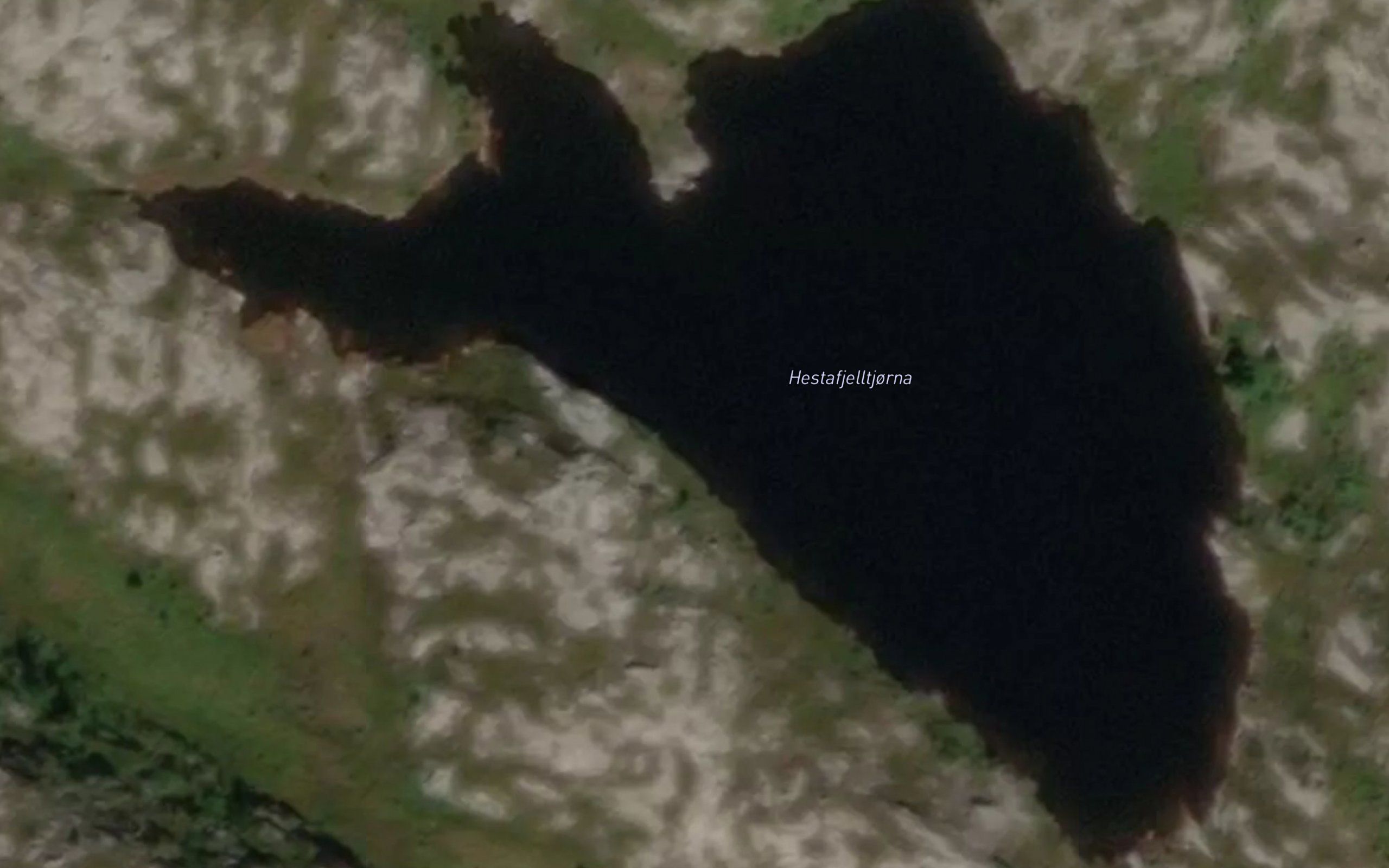 Hestfjelltjorna
