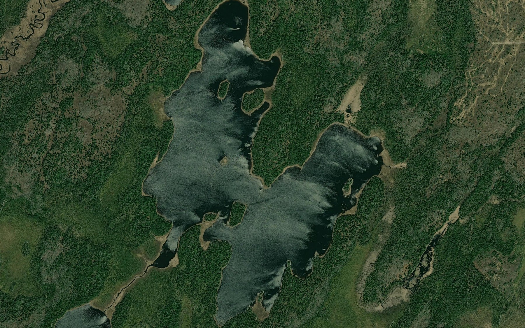 Satellite map of the Stedman Lake