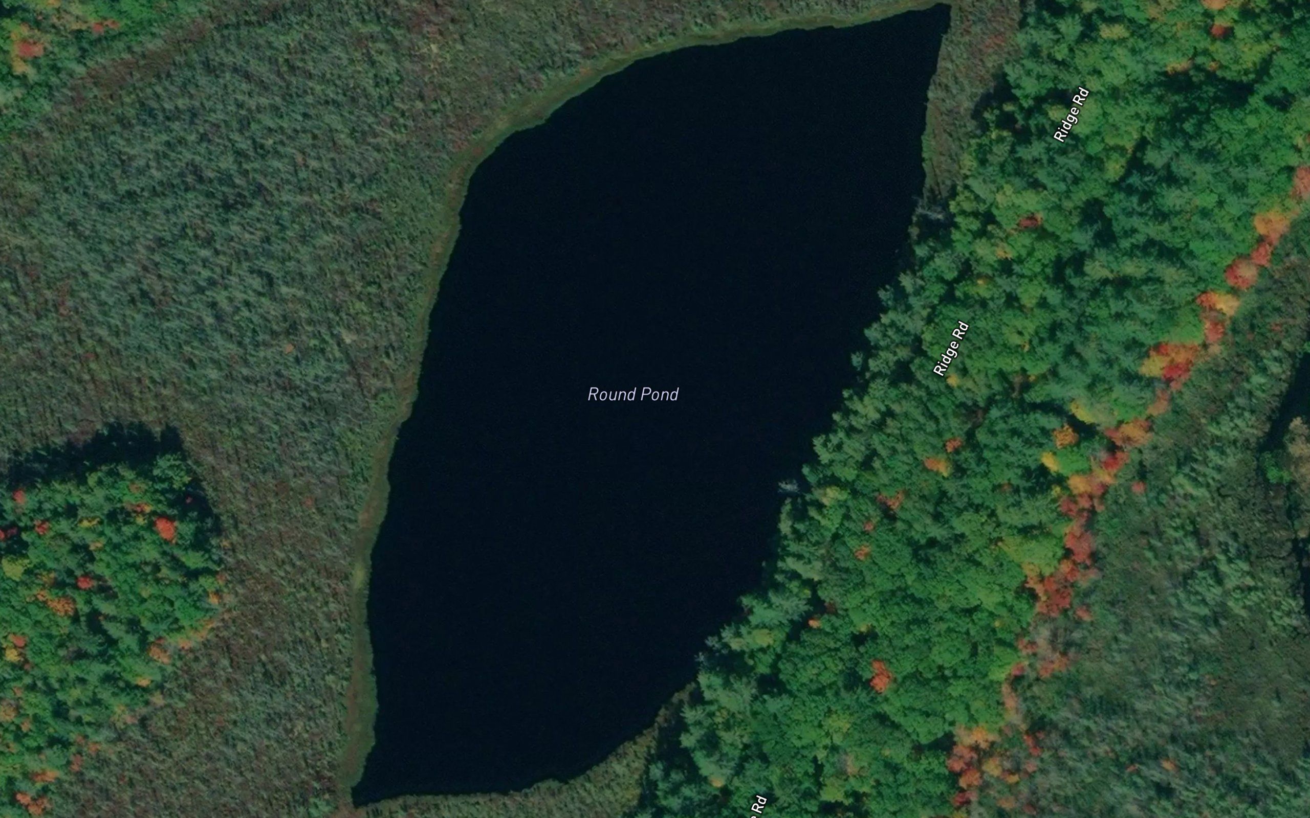 Round Pond
