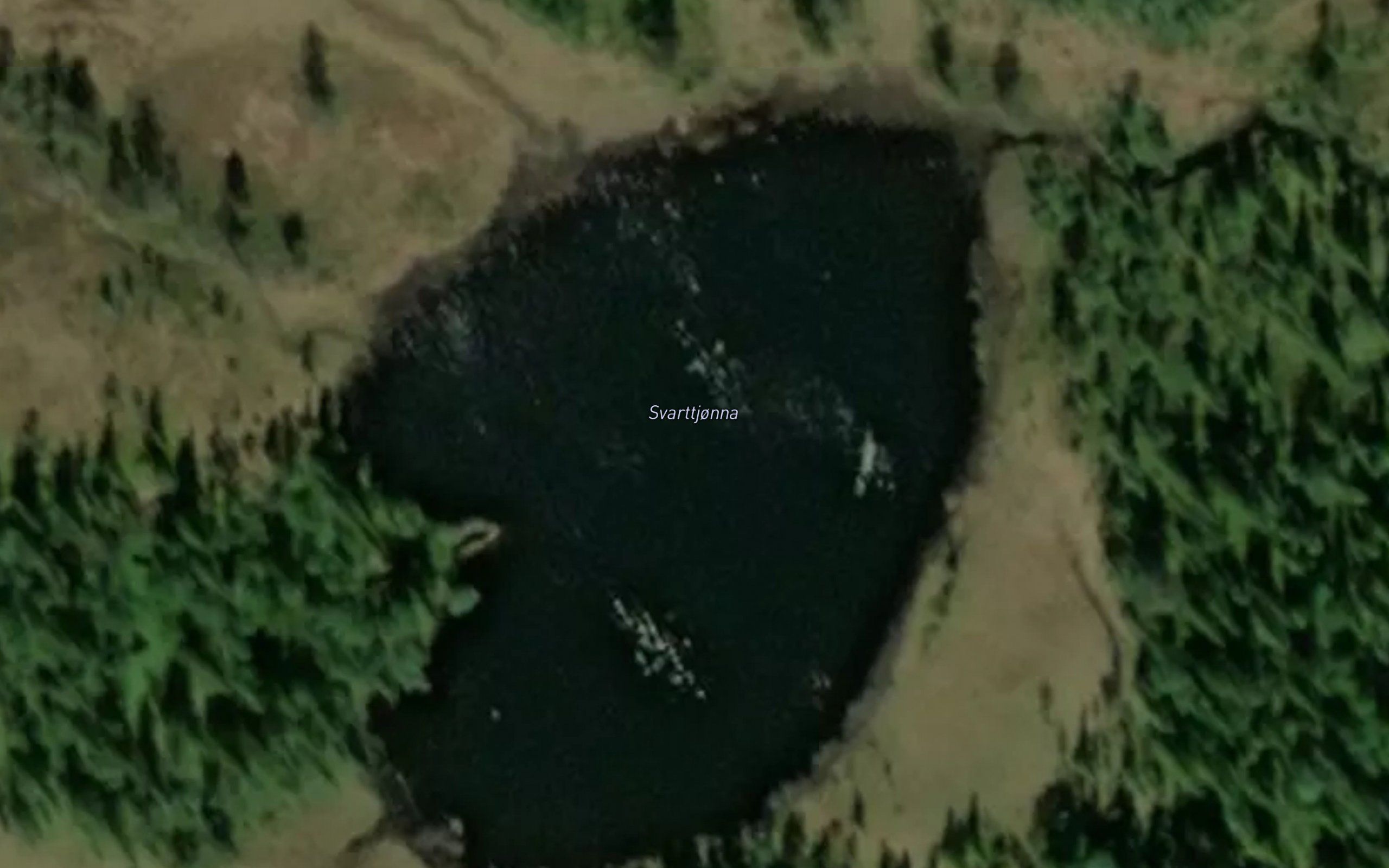 Svarttjonna