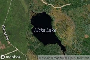 Hicks Lake