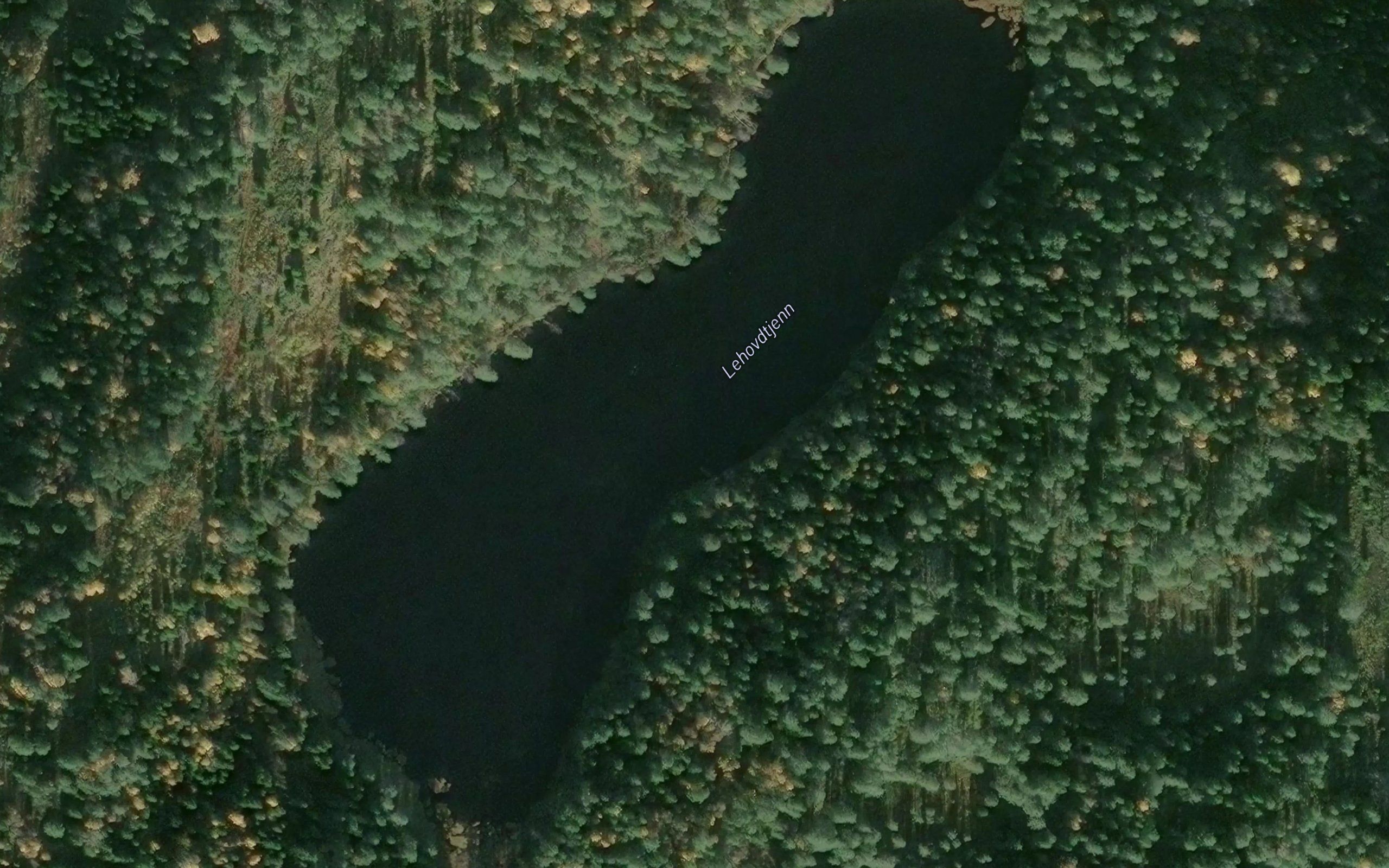Lehovdtjern