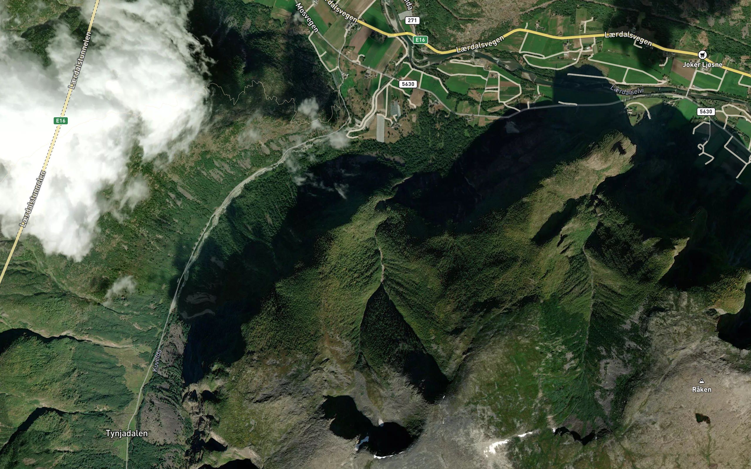 Skorva