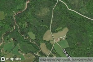 Miramichi Brook