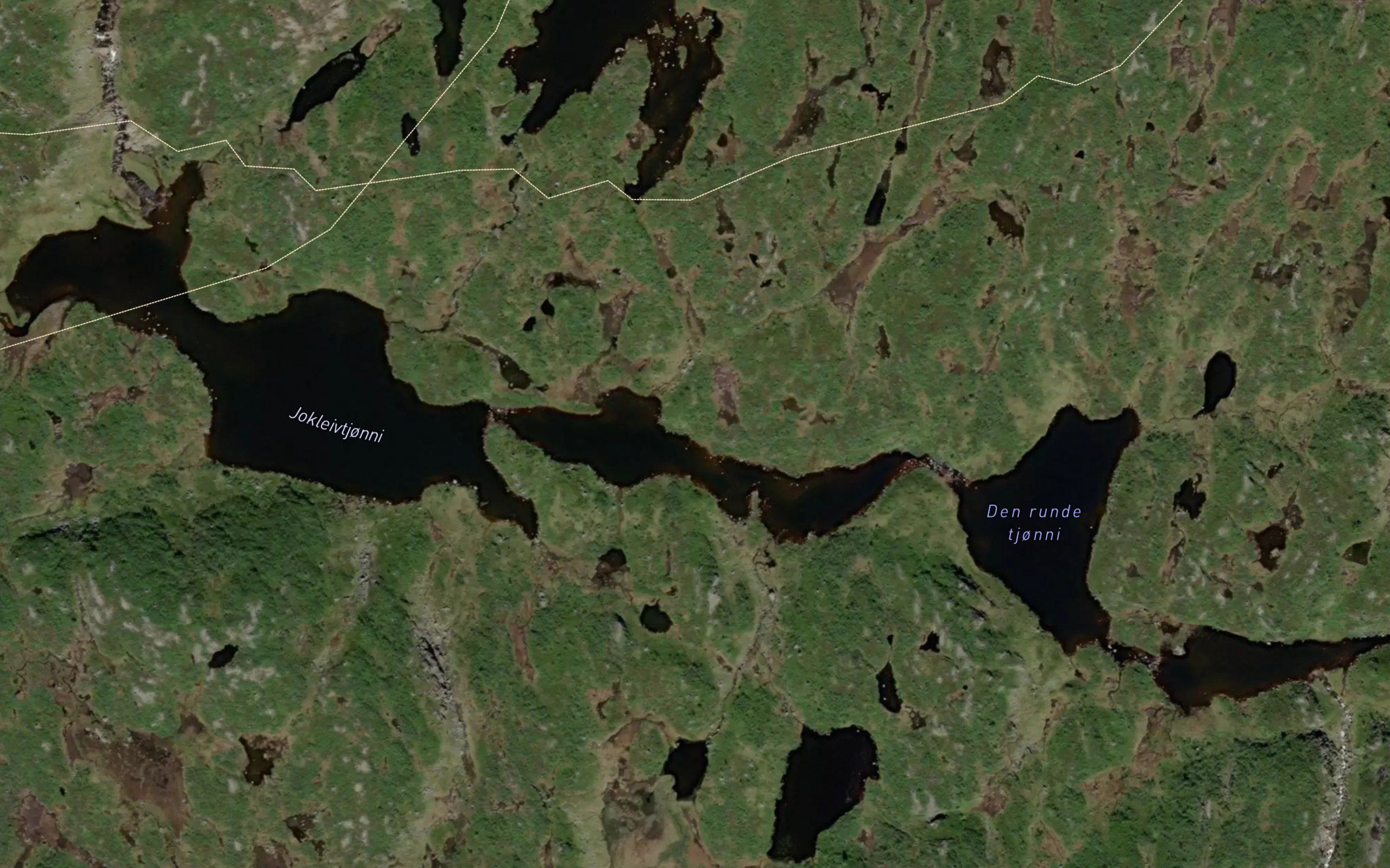Jokleivtjorni