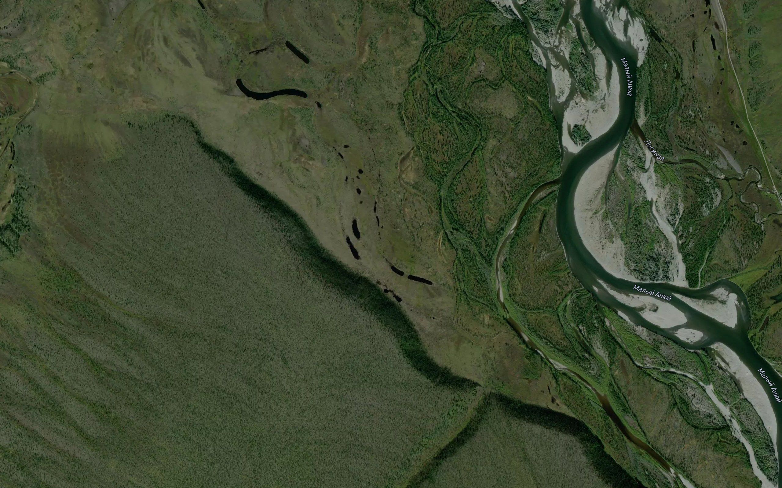 Nizhnyaya Shakuchina