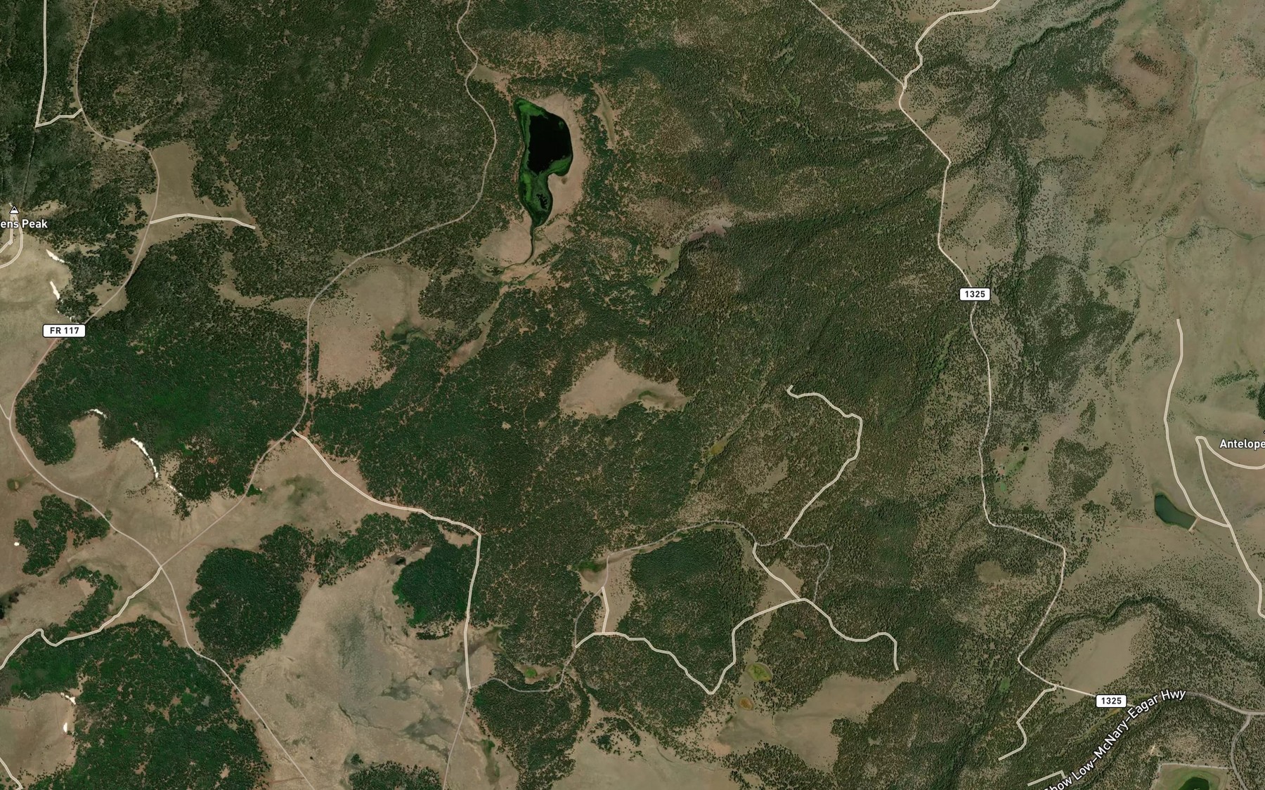 Satellite map of the Lost Spring