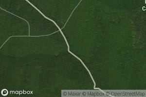 Left Fork Bearfield Run