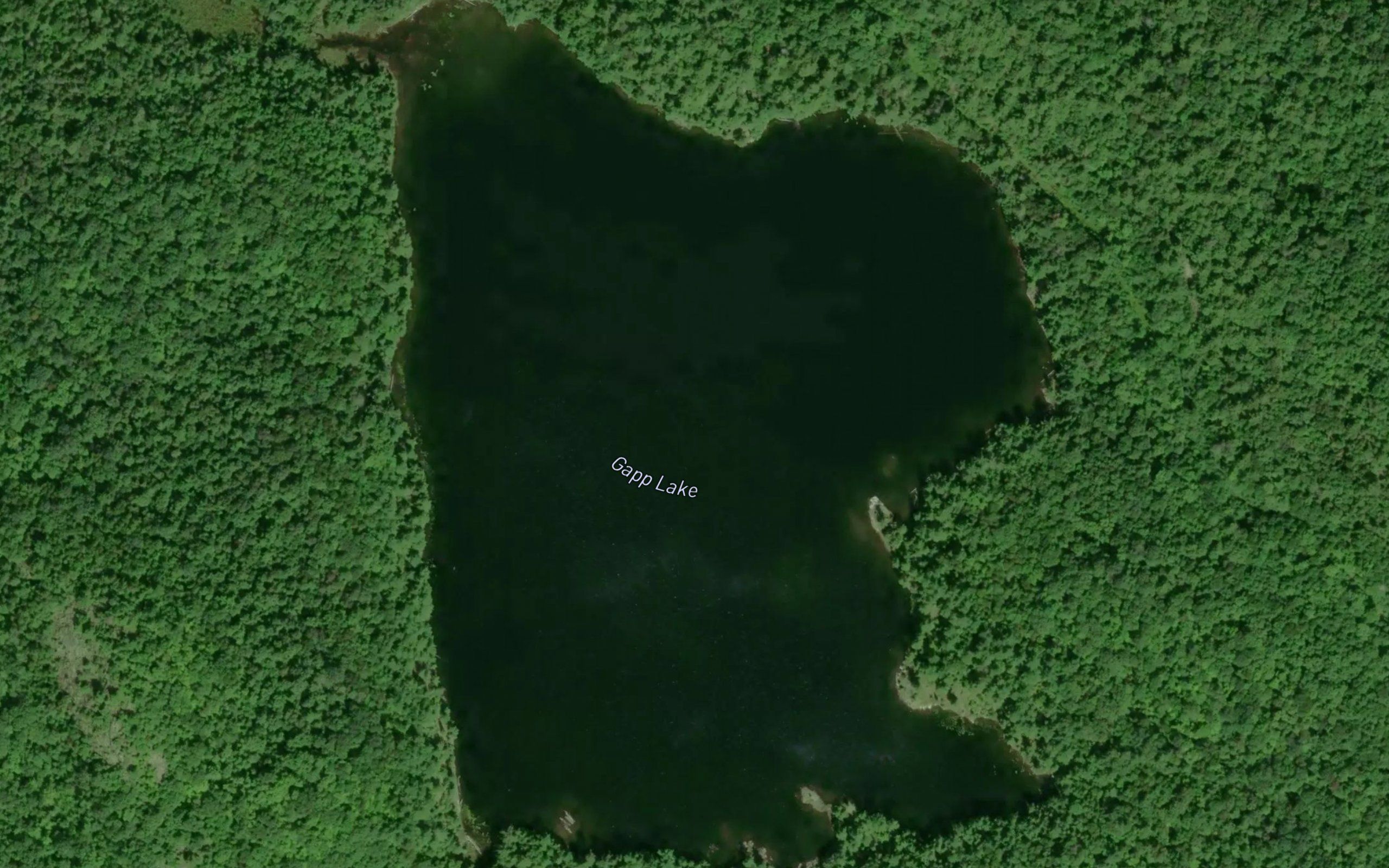 Gapp Lake