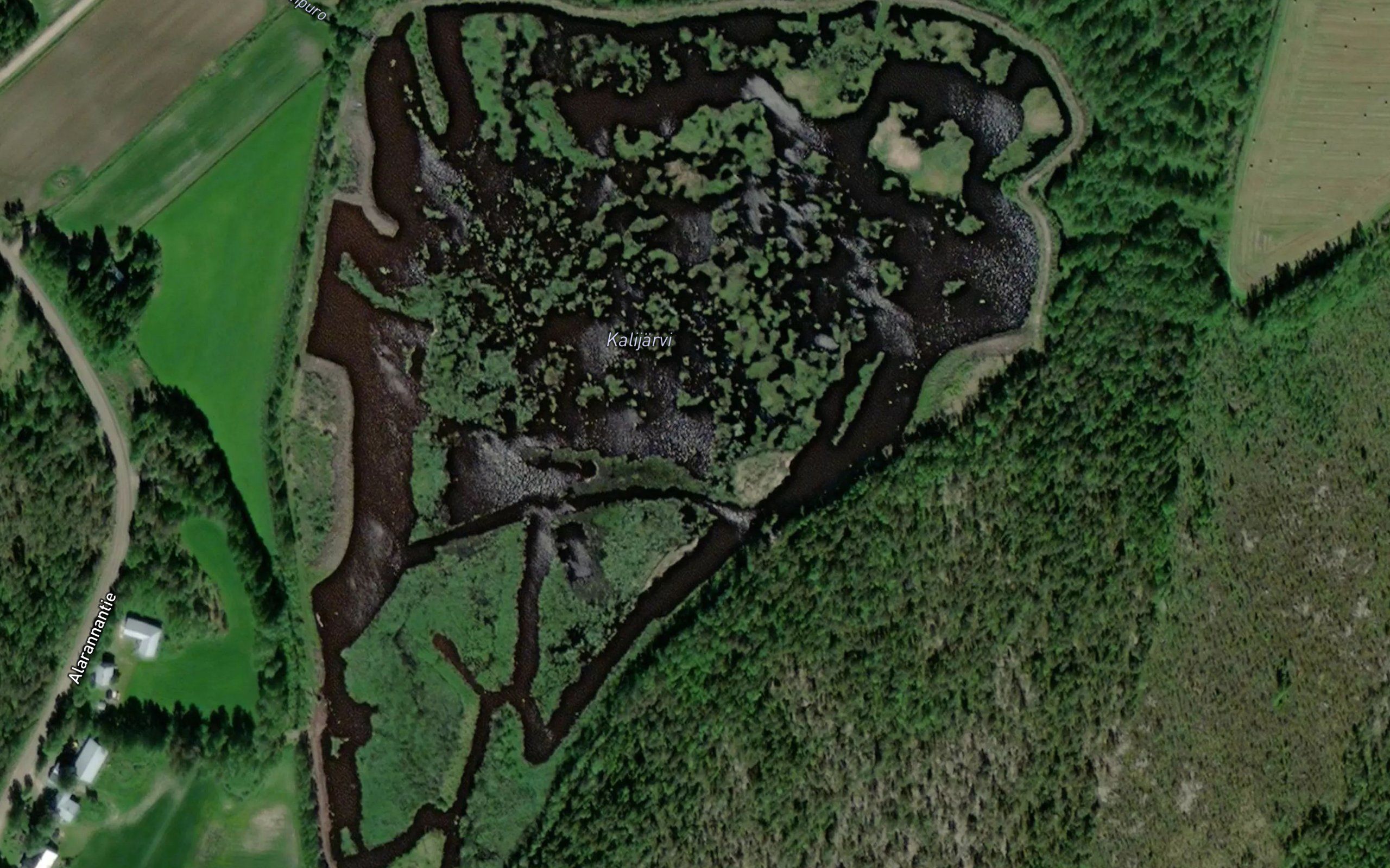 Kalijarvi