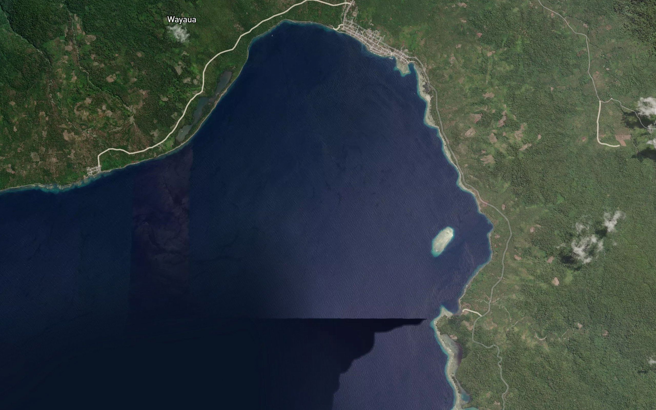 Teluk Wayaua